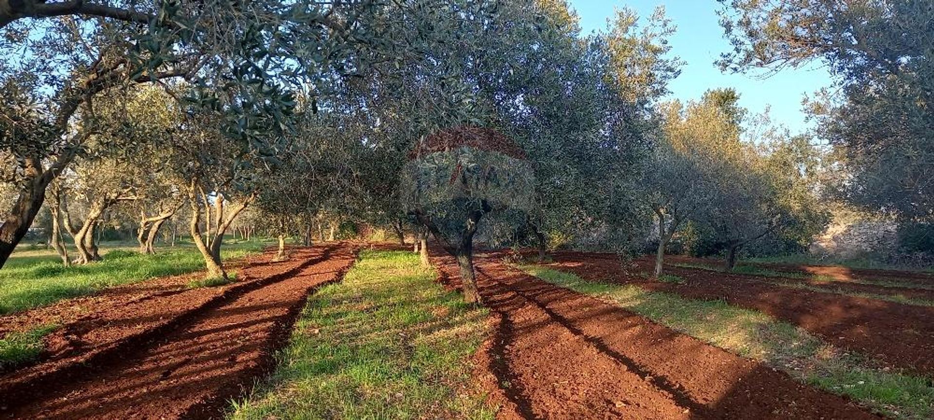 Land im Fažana, Istarska županija 12032100