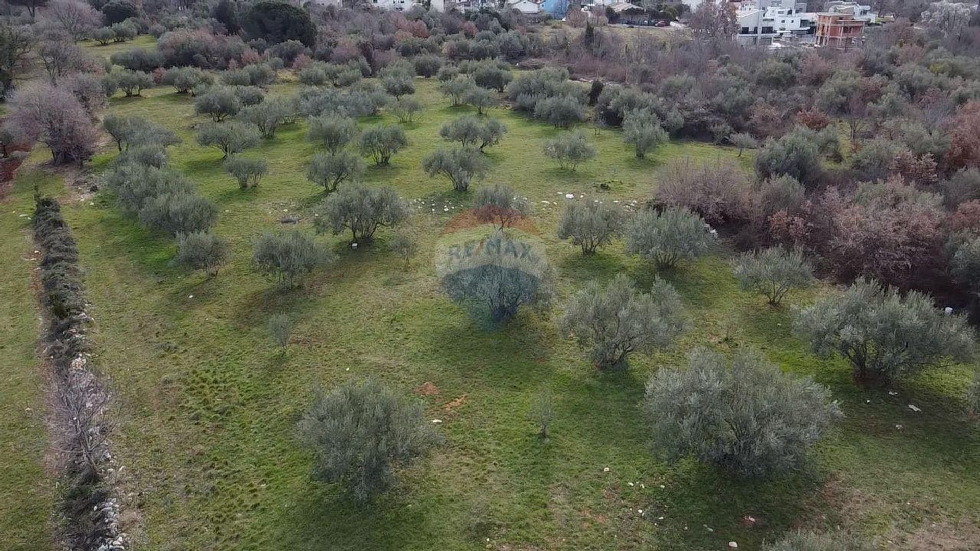 Terre dans Poreč, Istarska Zupanija 12032111