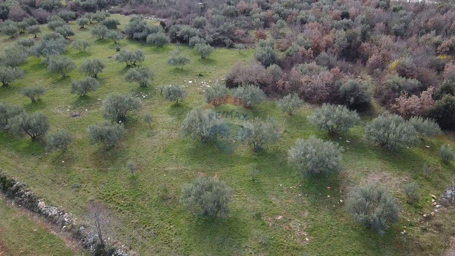 Terre dans Poreč, Istarska Zupanija 12032111