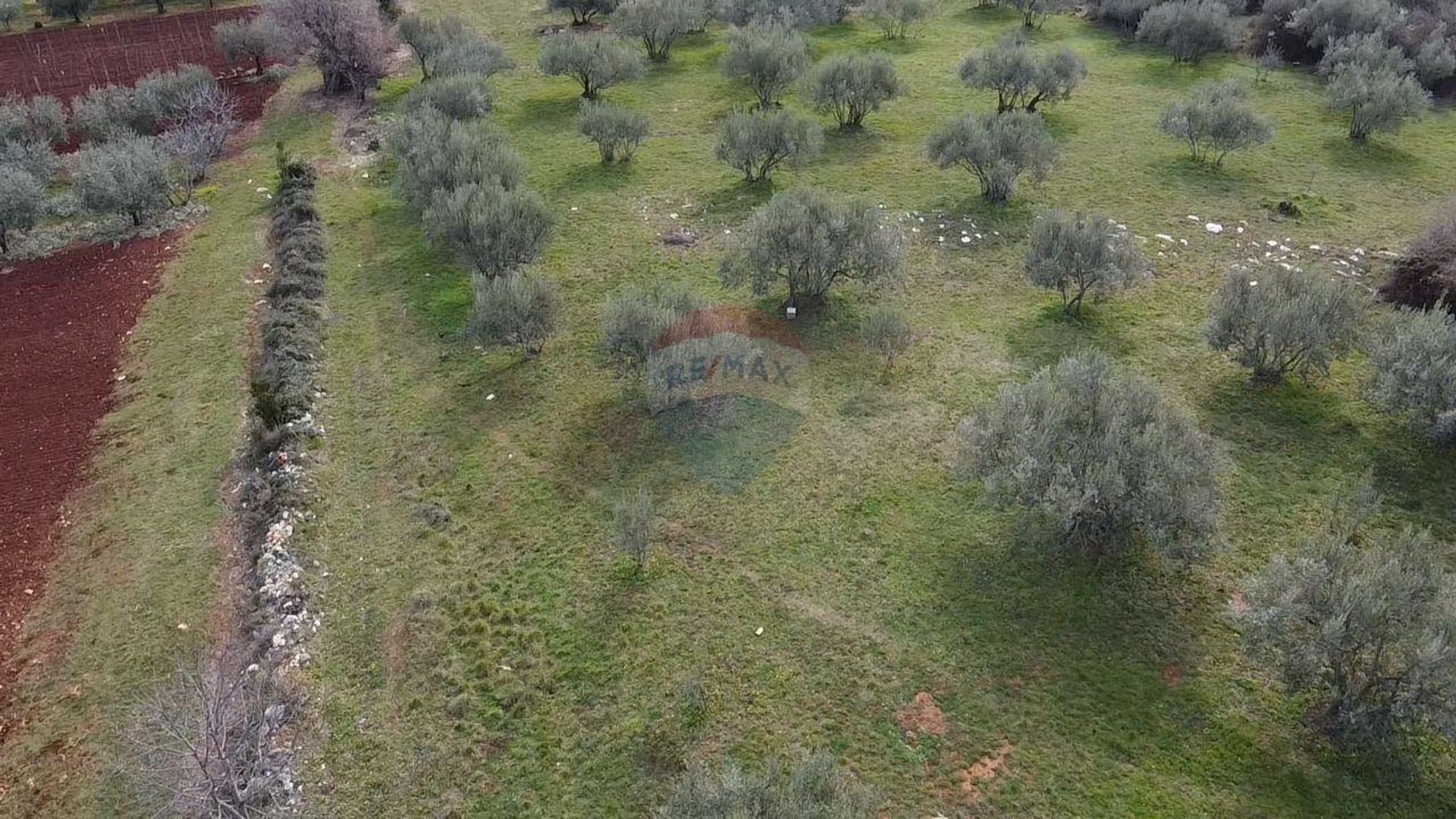 Terre dans Poreč, Istarska Zupanija 12032112