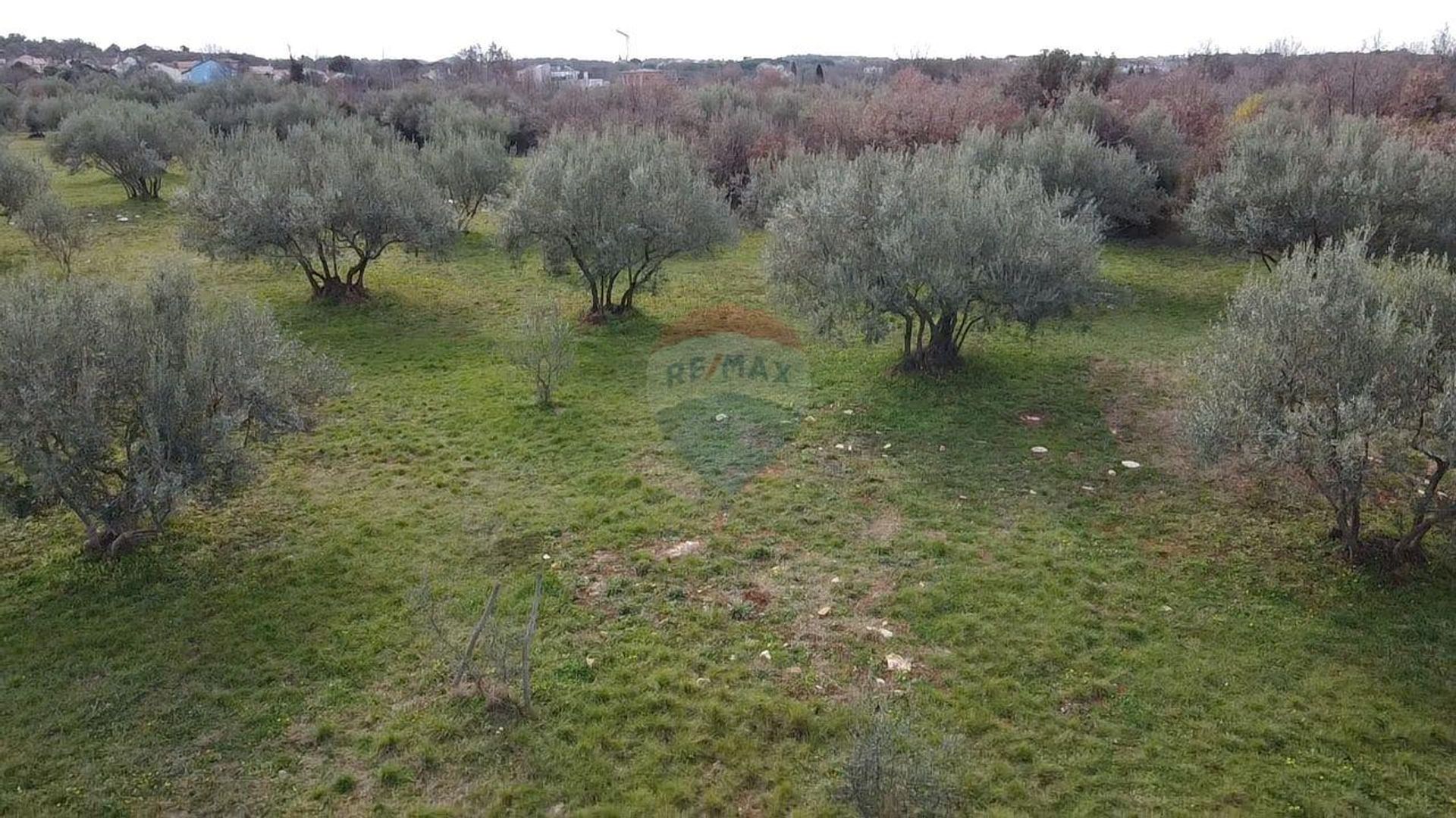 Terre dans Poreč, Istarska Zupanija 12032112