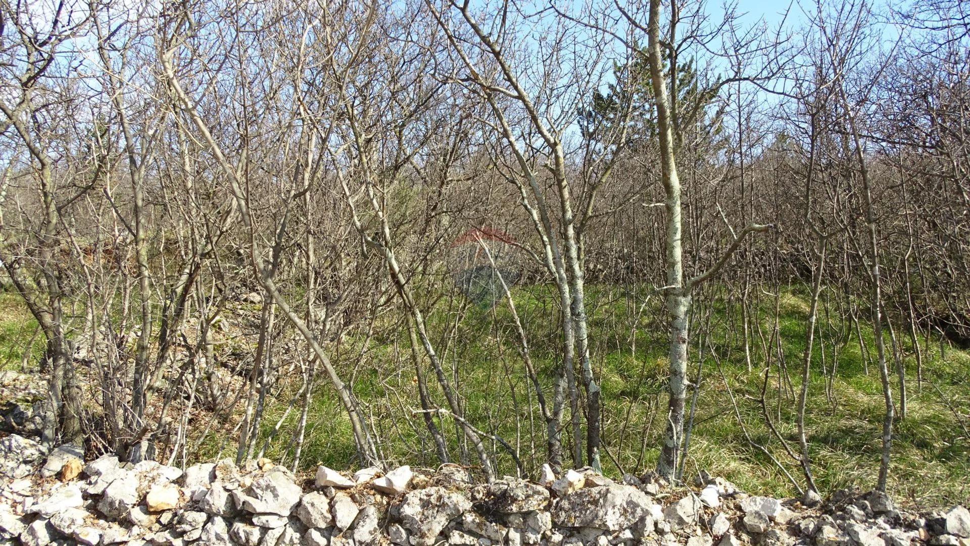 Tierra en smrika, Primorsko-Goranska Županija 12032178