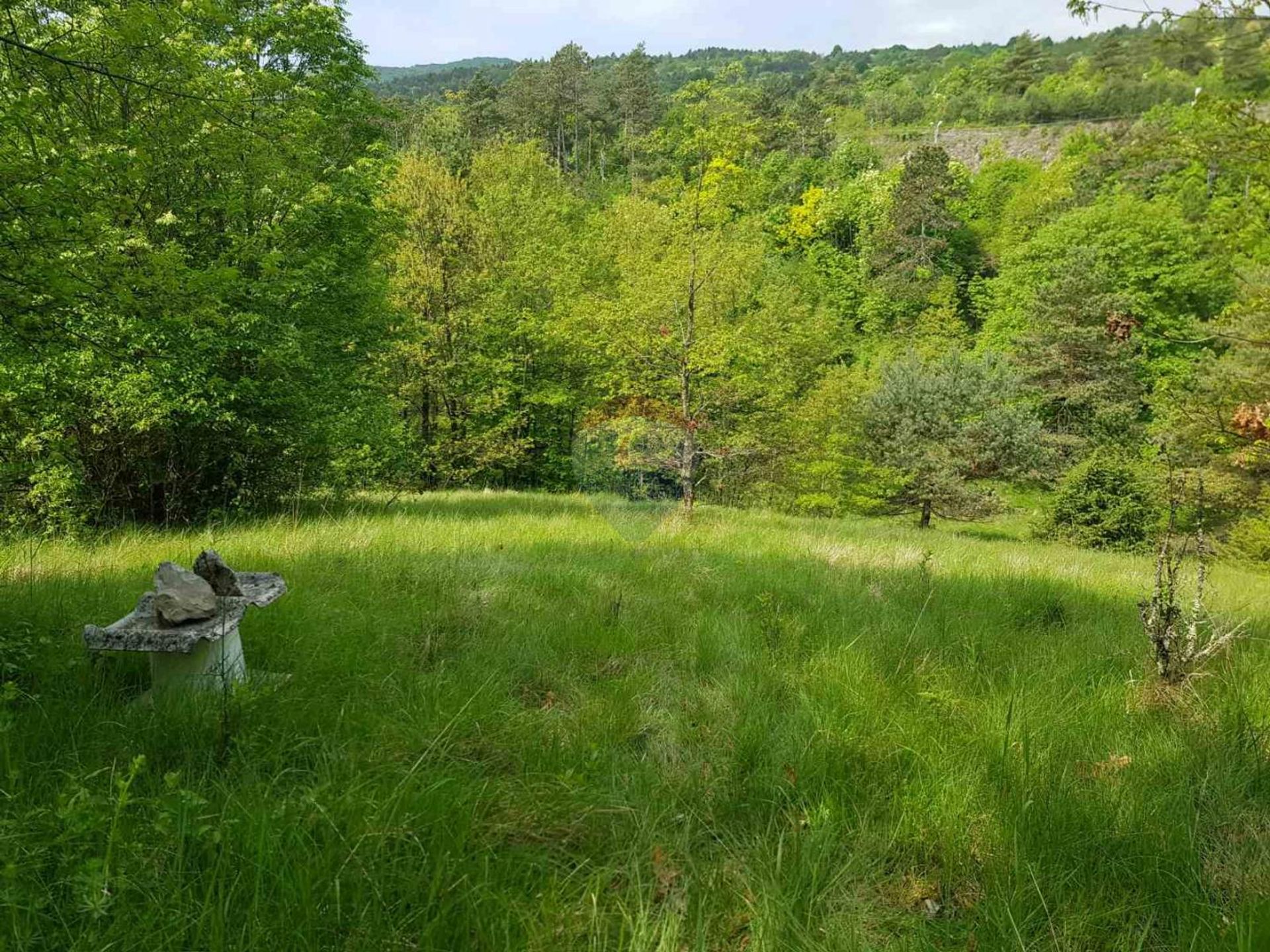 Terre dans Šapjane, Primorsko-goranska županija 12032205