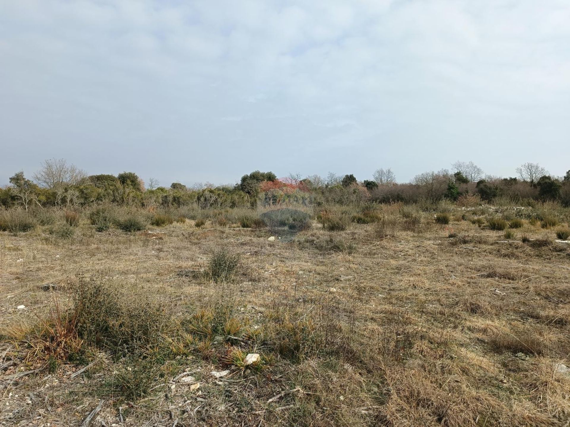 Land in Visnjan, Istarska Zupanija 12032279