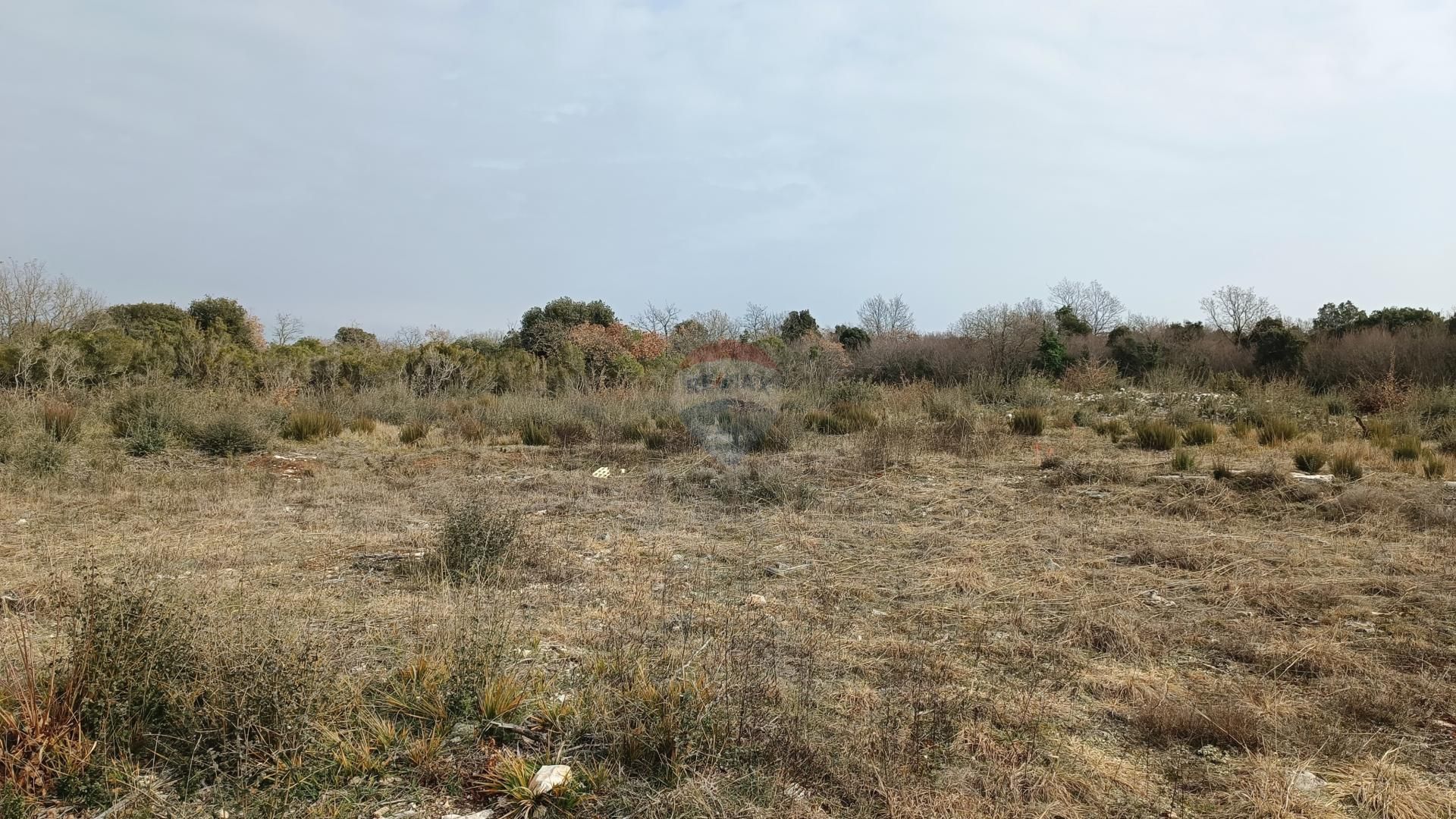 Land in Visnjan, Istarska Zupanija 12032279