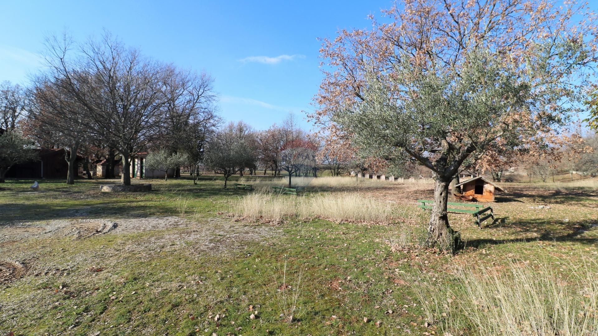 Lain di Poreč, Istria County 12032311