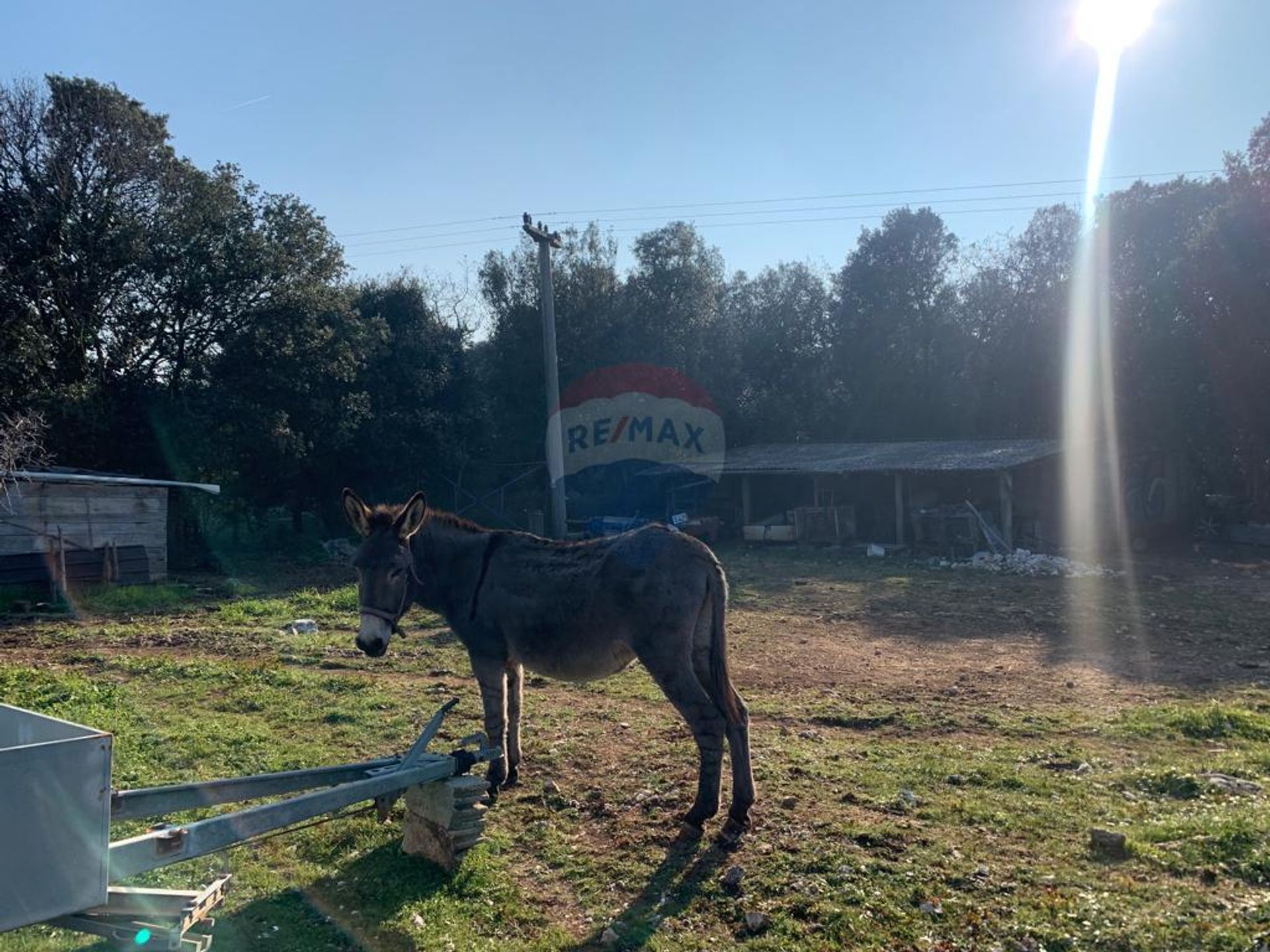 Tierra en Vrsar, Istarska Zupanija 12032316