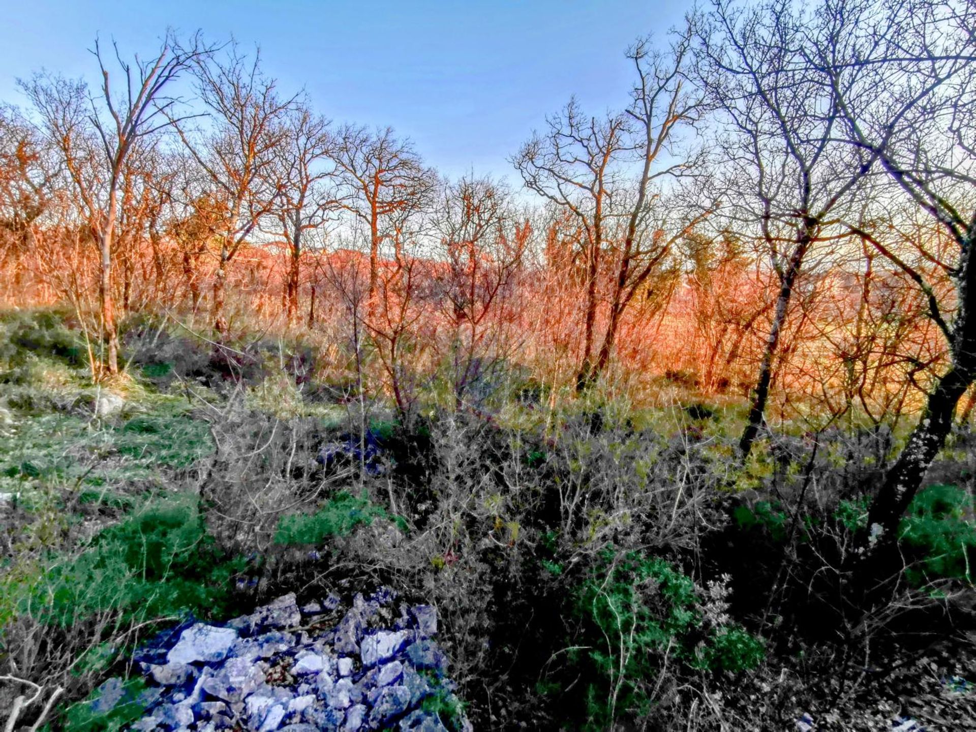 Terre dans Bakar, Primorsko-Goranska Zupanija 12032455