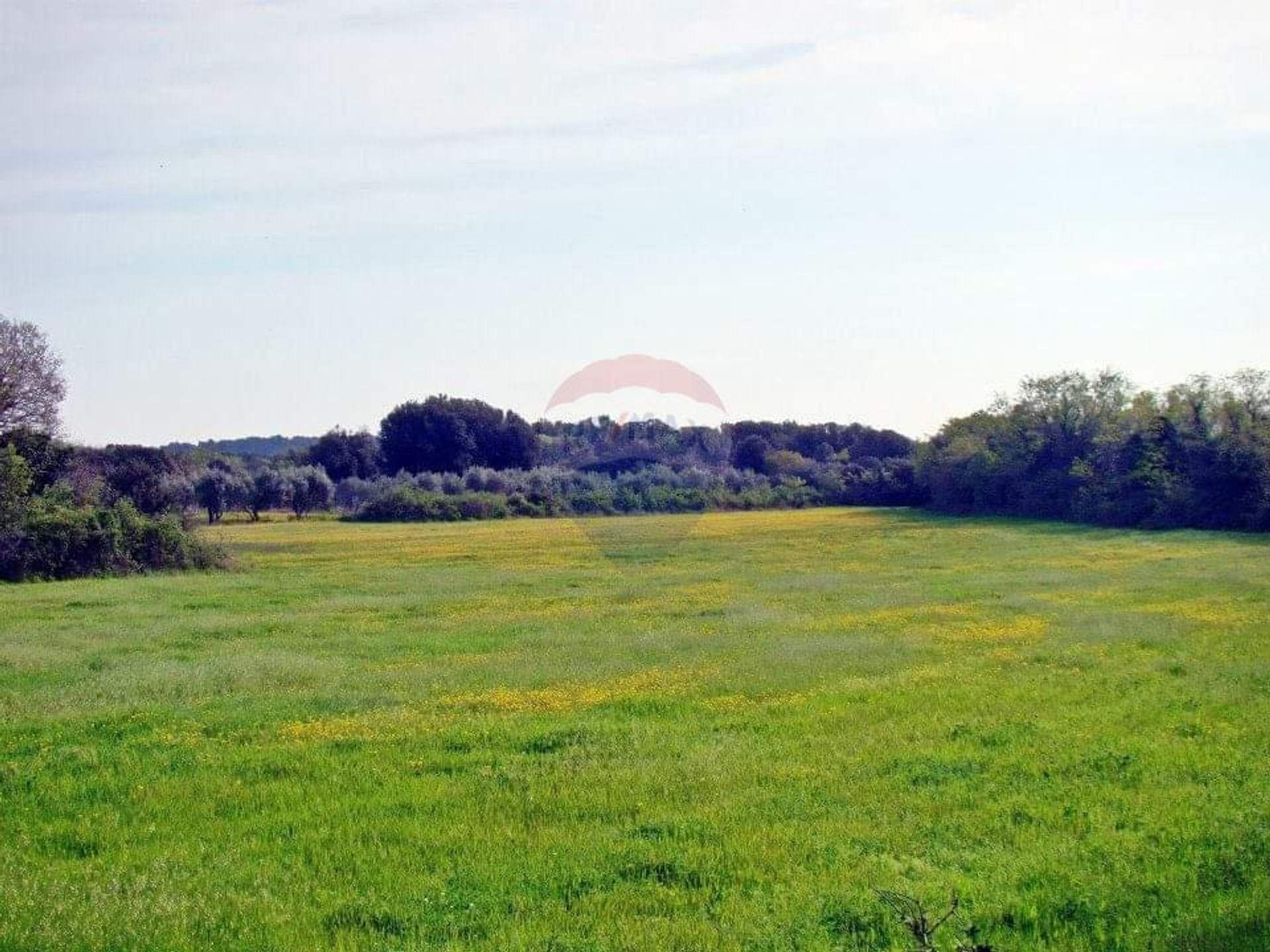 Land in Liznjan, Istarska Zupanija 12032556