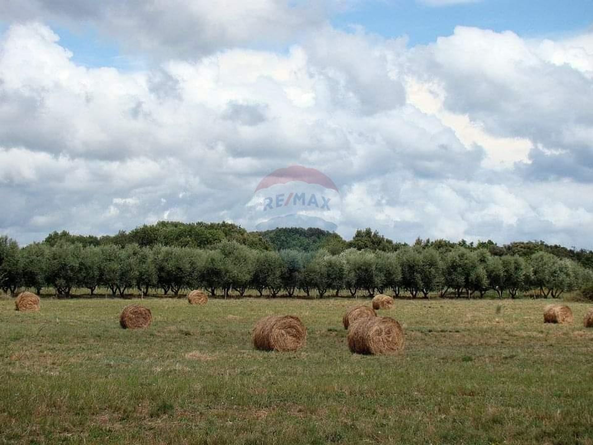 Tierra en Liznjan, Istarska Zupanija 12032556