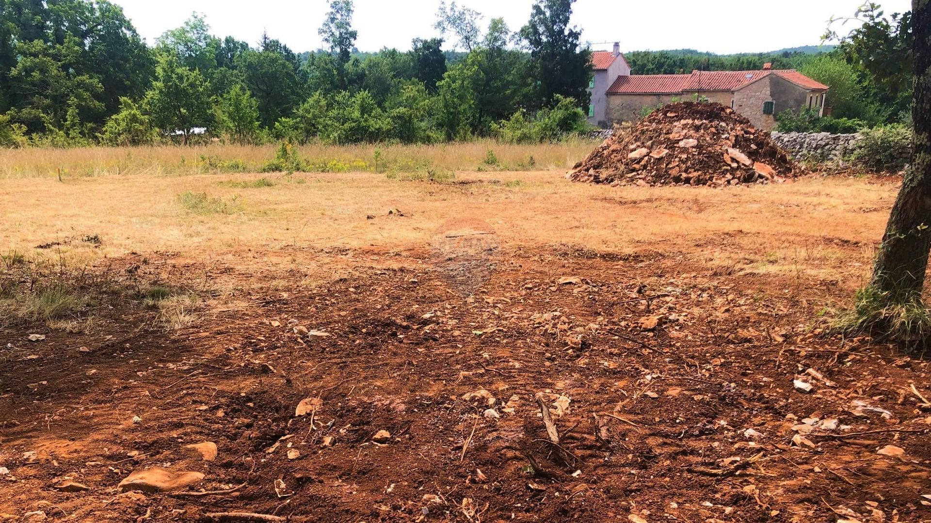 Terra no Grožnjan, Istarska županija 12032682