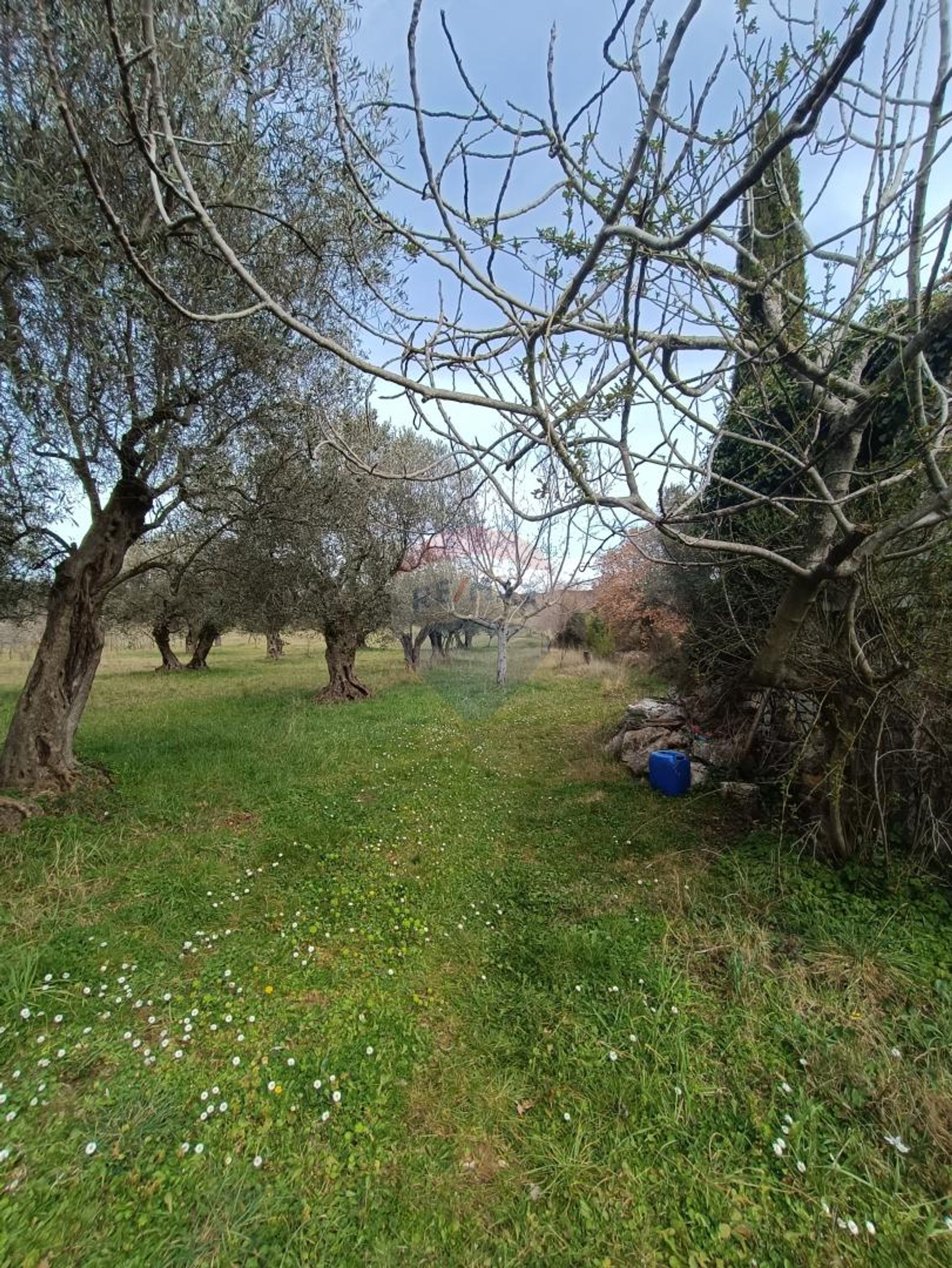 Tierra en Rovinj, Istarska Županija 12032689