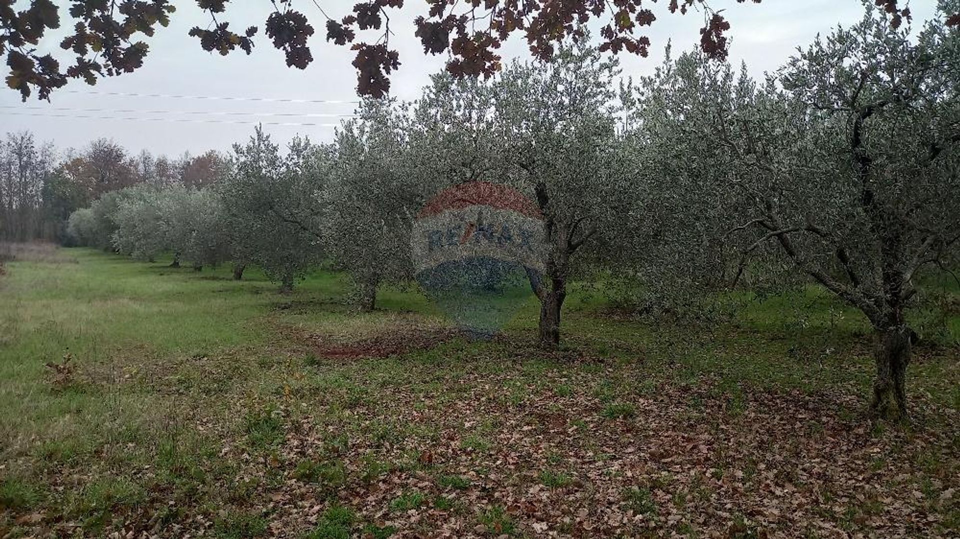 Tierra en Valdebek, Istarska Zupanija 12032702