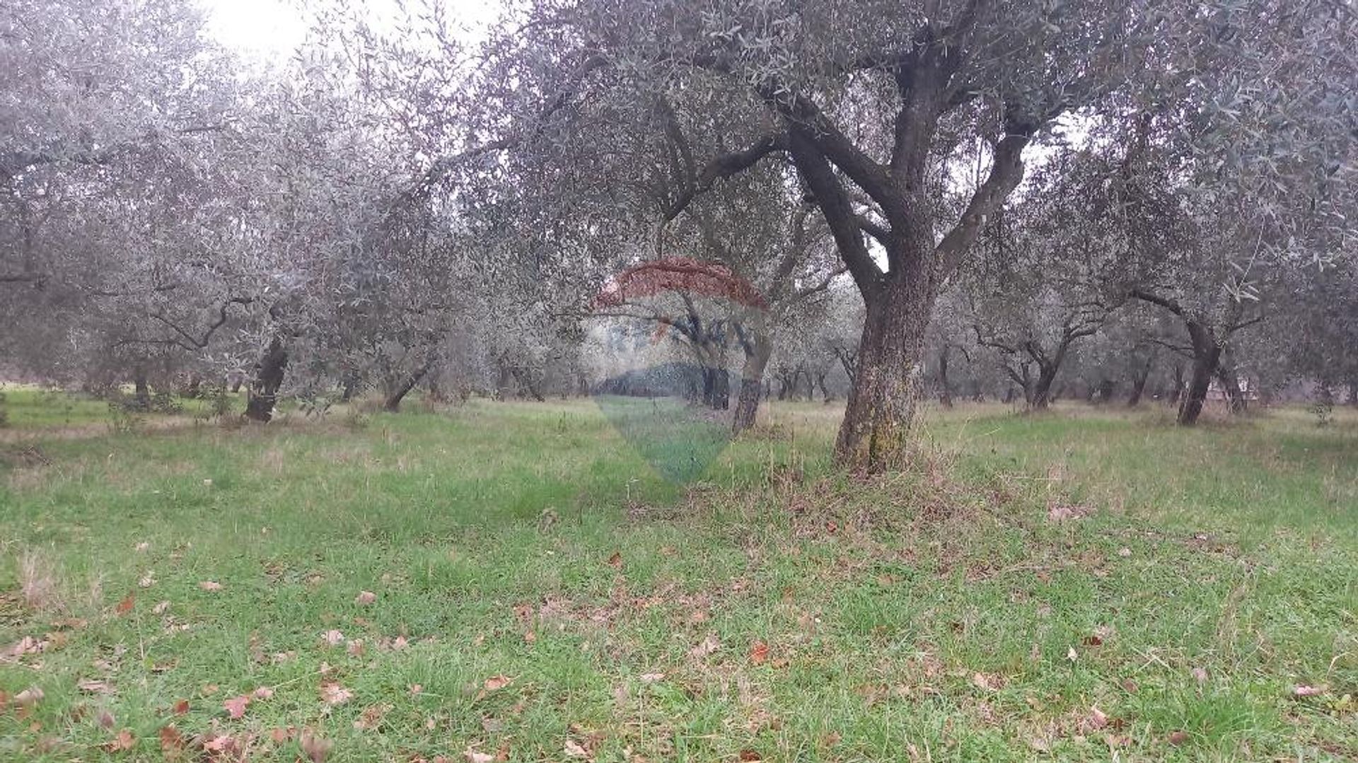 Tierra en Valdebek, Istarska Zupanija 12032702