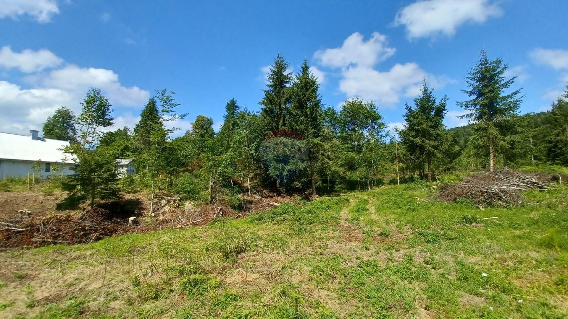 Land in Osilnica, Osilnica 12032758