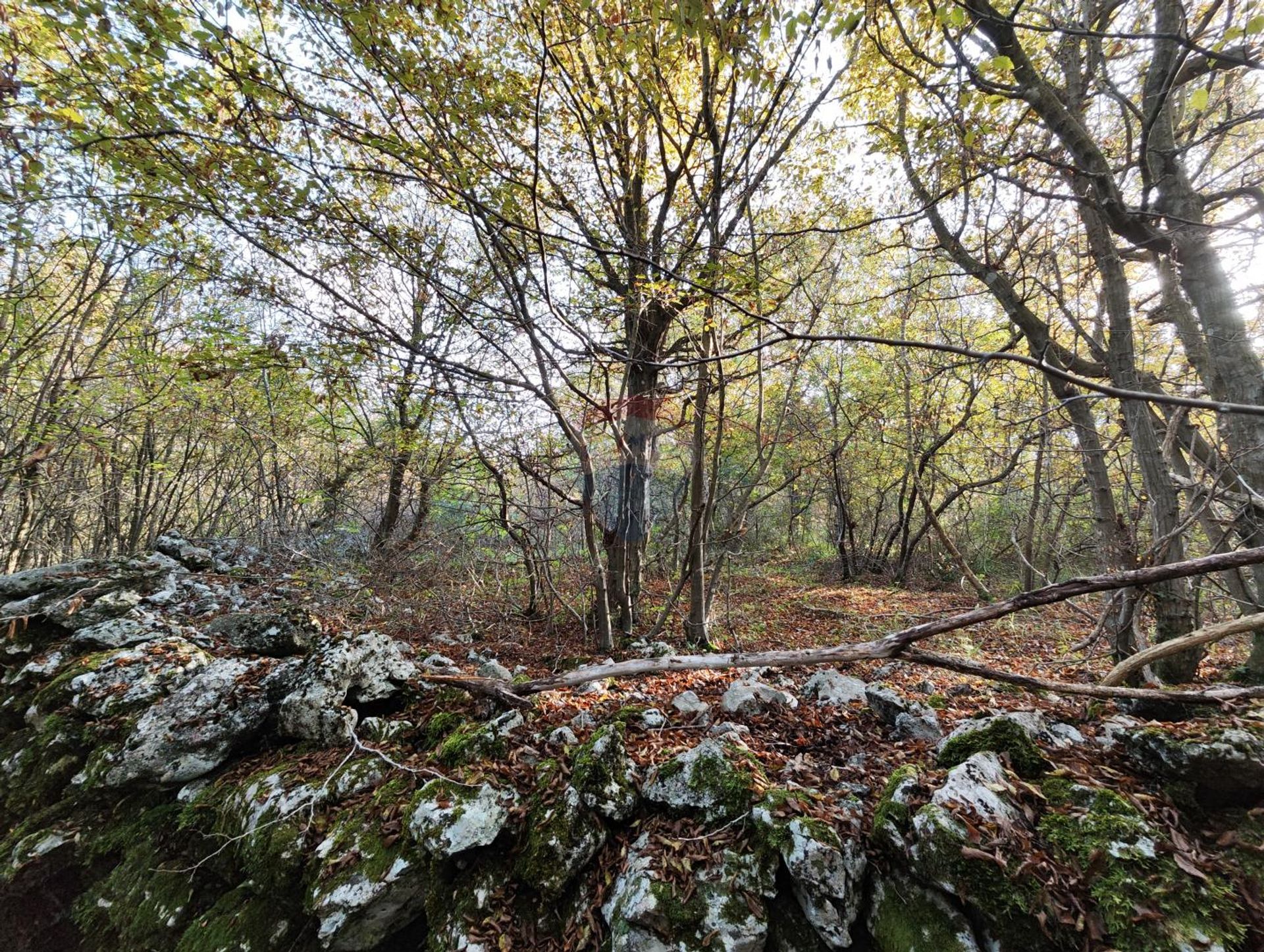 Terre dans Krk, Primorsko-Goranska Zupanija 12032770