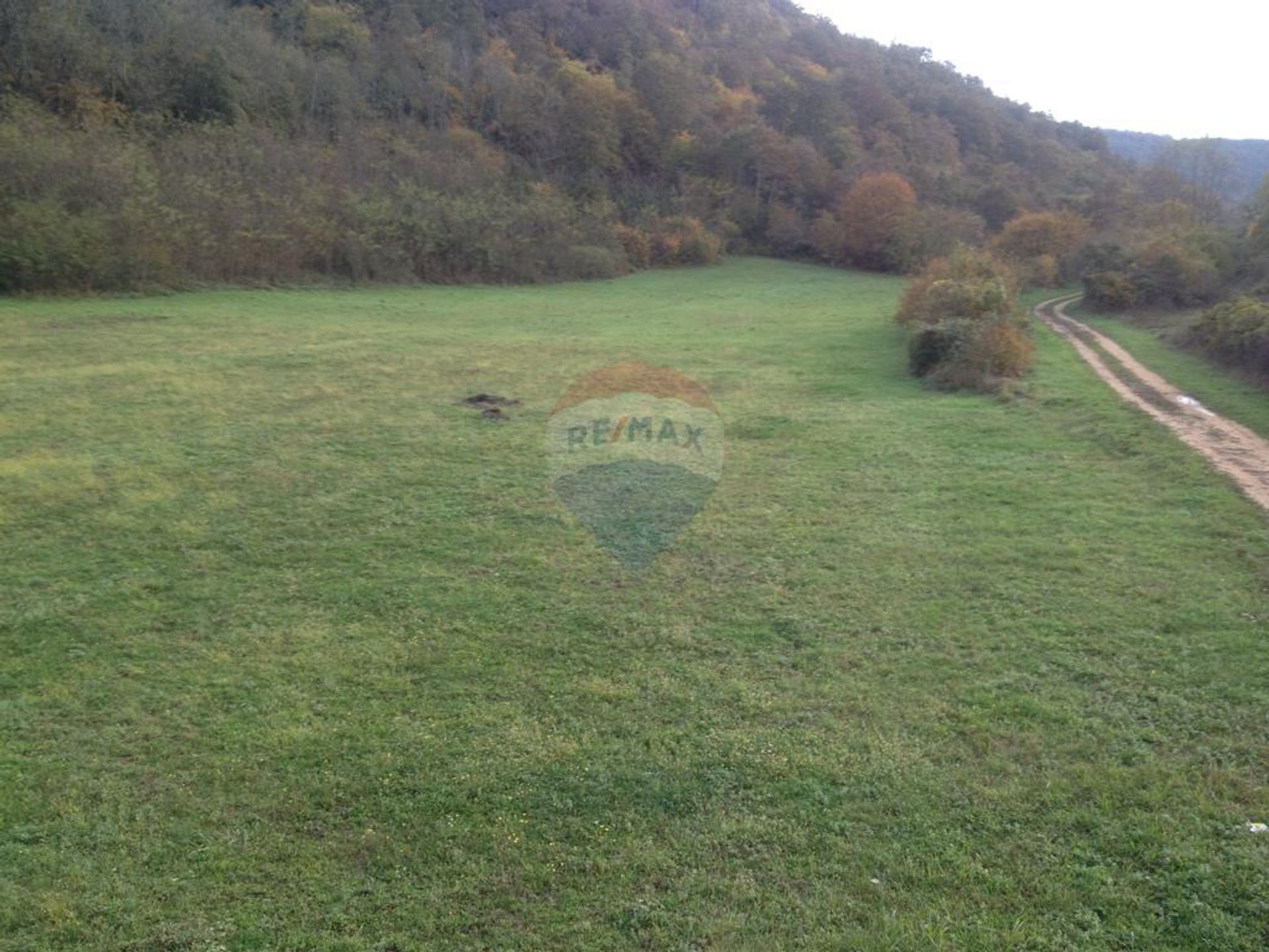 Tanah di Kanfanar, Istarska županija 12032823