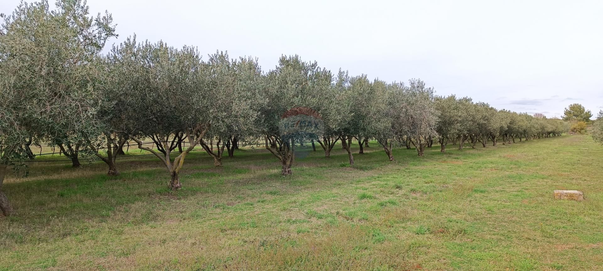 Land in Valdebek, Istarska Zupanija 12032845