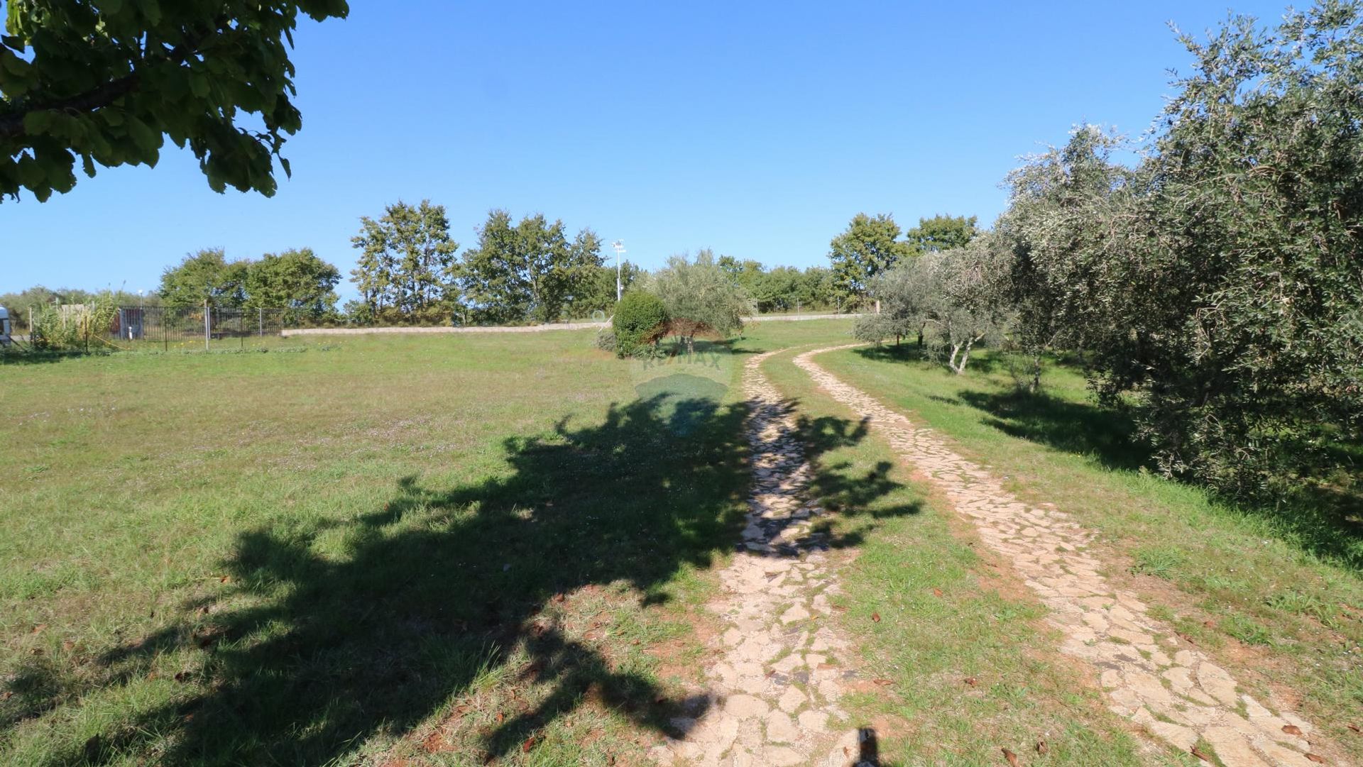 Terre dans Brtonigla, Istarska županija 12033129