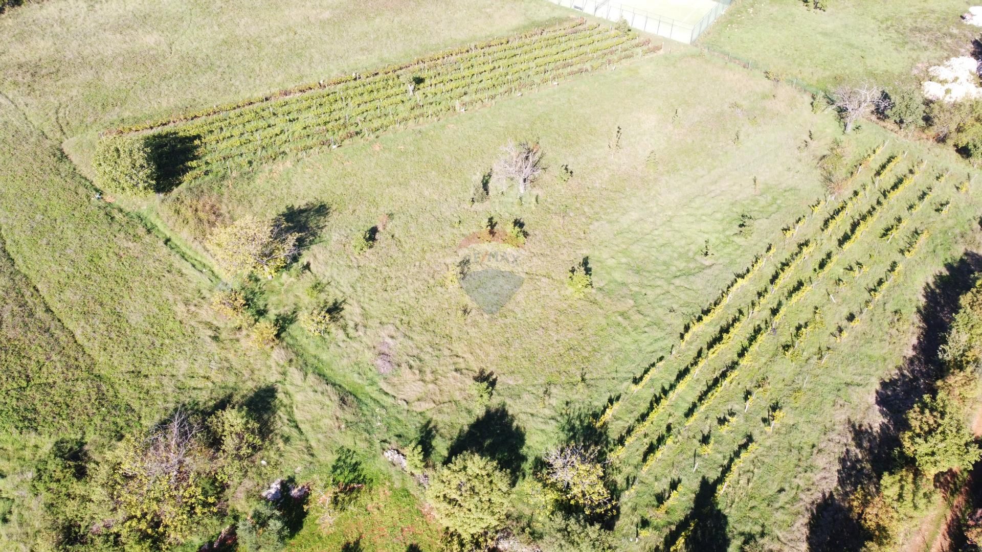 Land in Marčana, Istarska županija 12033135