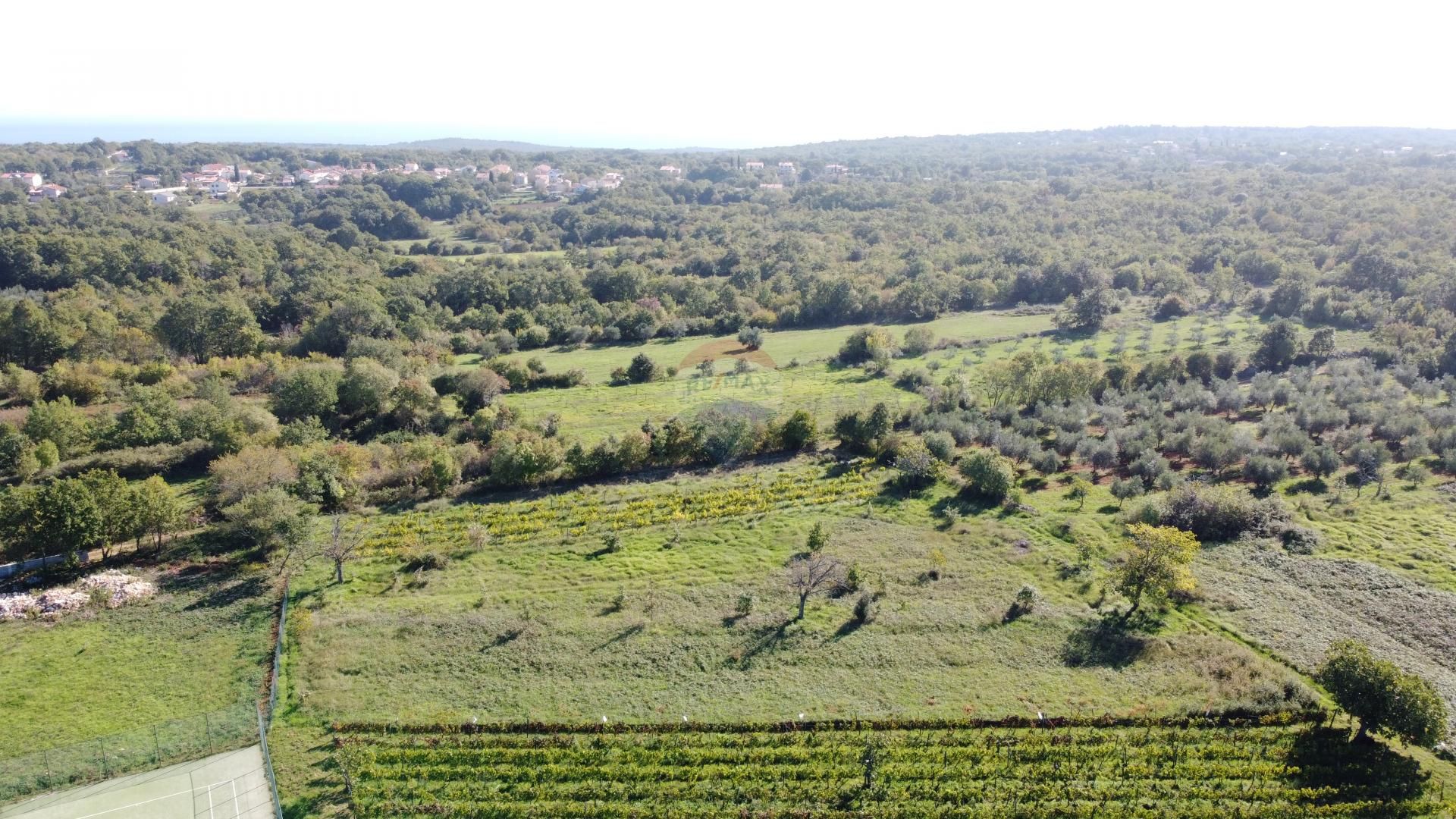 Tierra en Marčana, Istarska županija 12033135