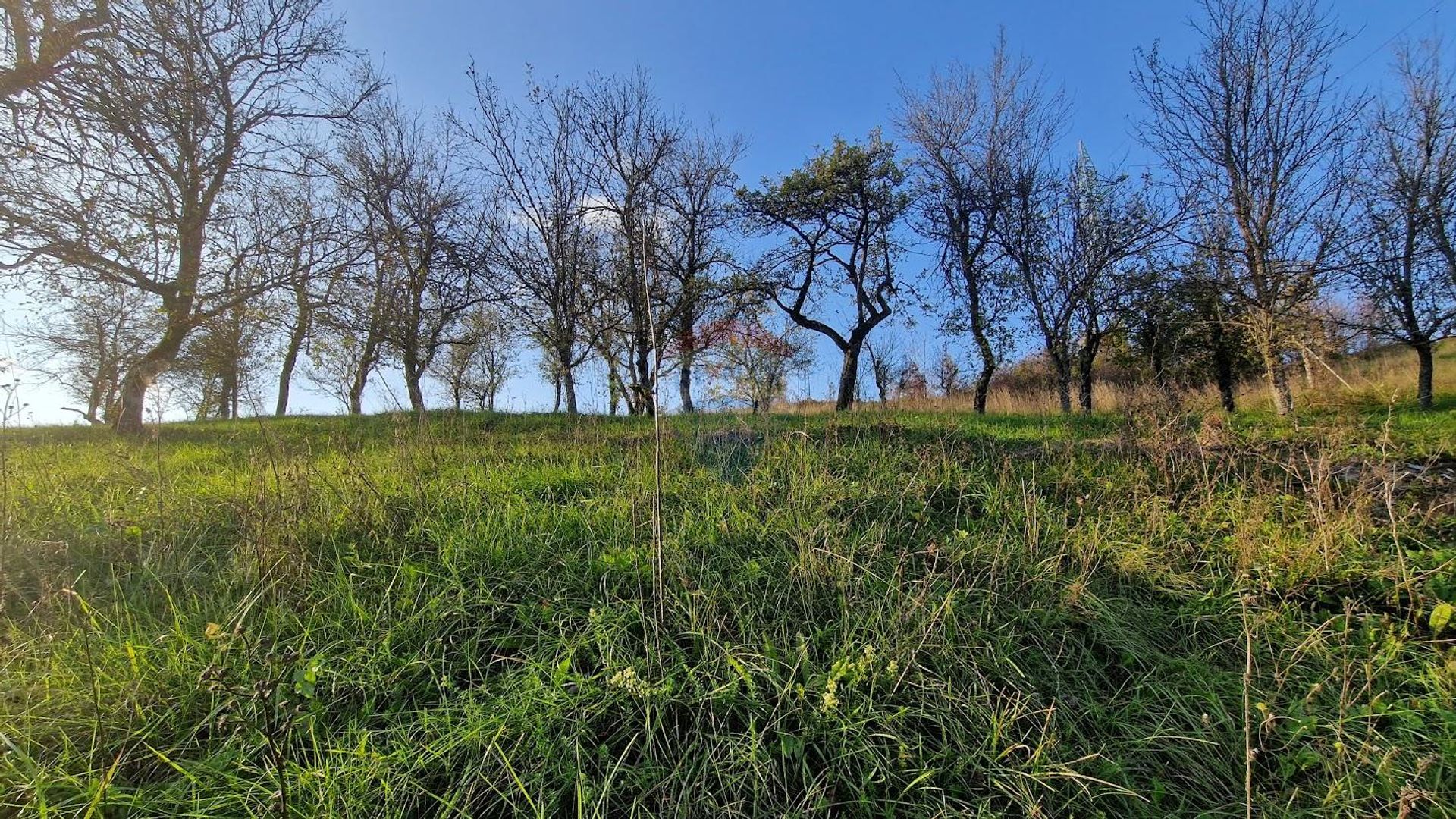 Land i Vrbovsko, Primorsko-goranska županija 12033165