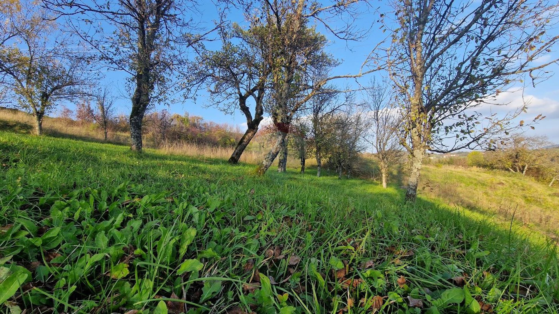 Land im Vrbovsko, Primorsko-Goranska Zupanija 12033165