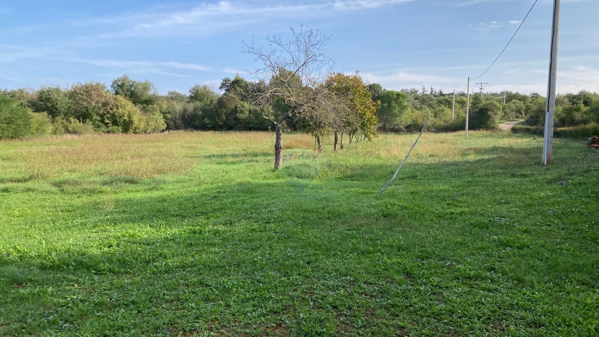 Tierra en Umag, Istarska Zupanija 12033252