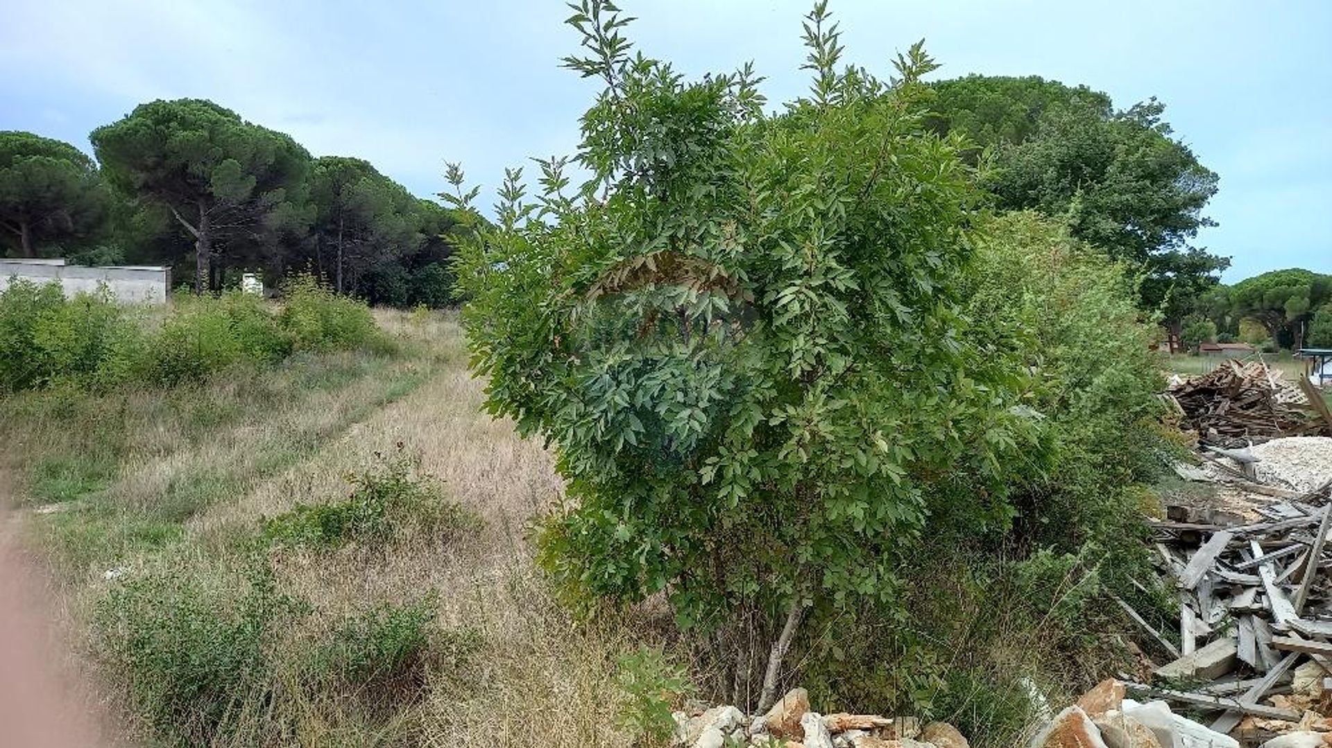 Land in Pula, Istarska županija 12033295