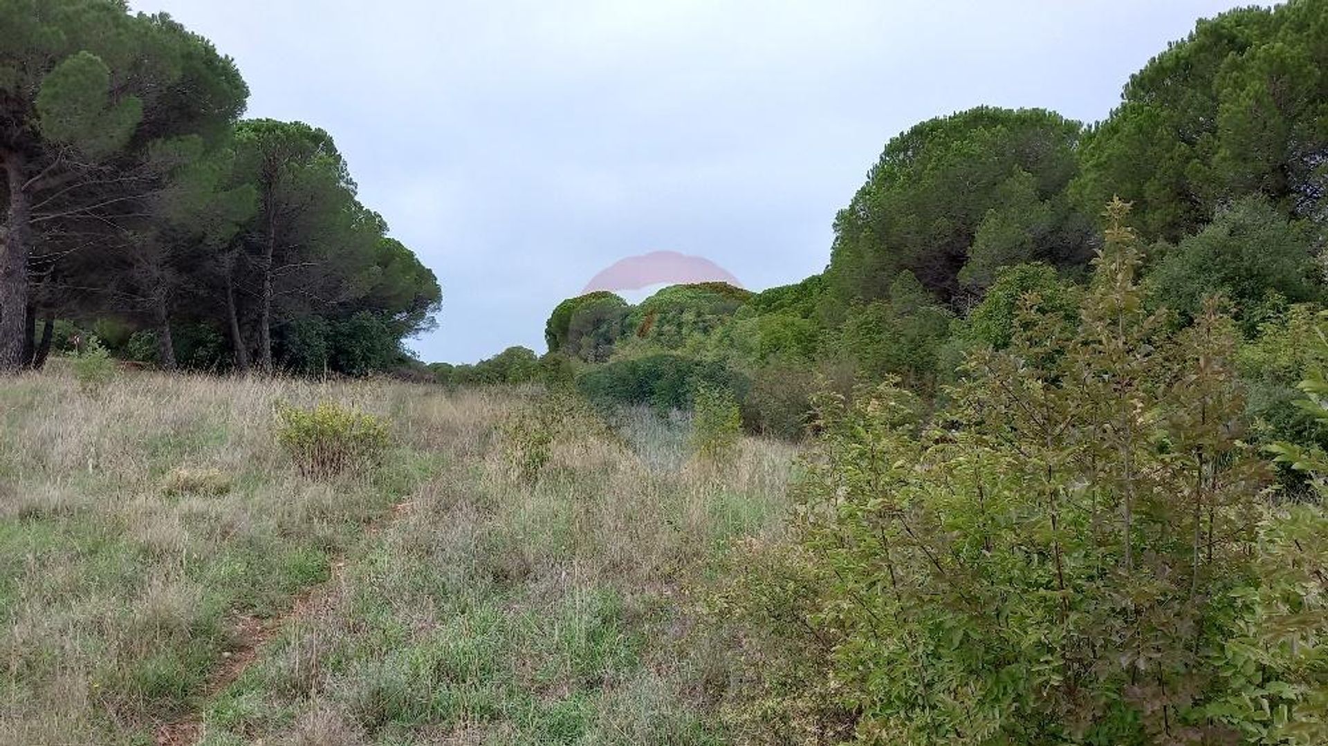 Land in Pula, Istarska županija 12033295