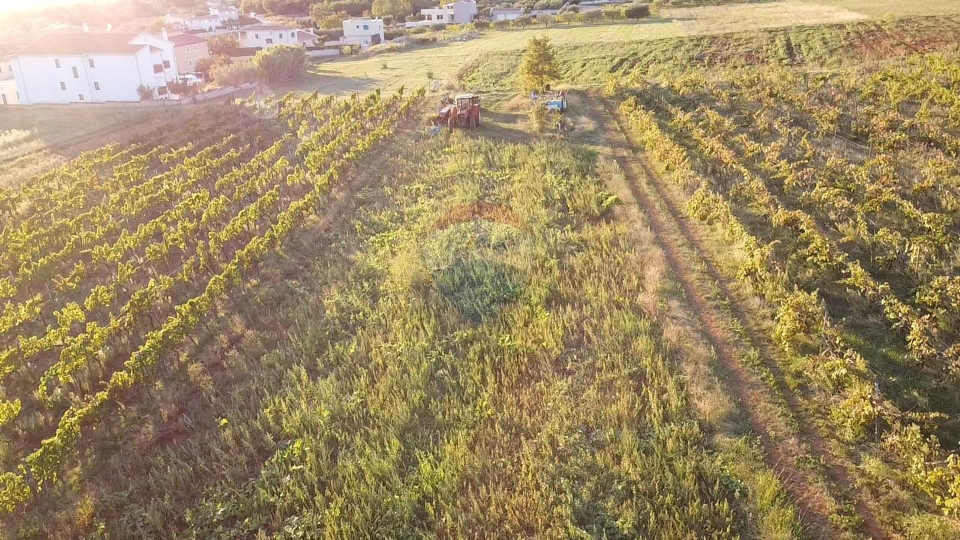 Land in Kastelir, Istarska Zupanija 12033354