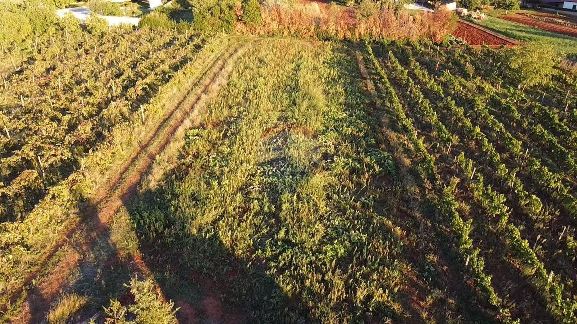 Tierra en Kaštelir, Istarska županija 12033354