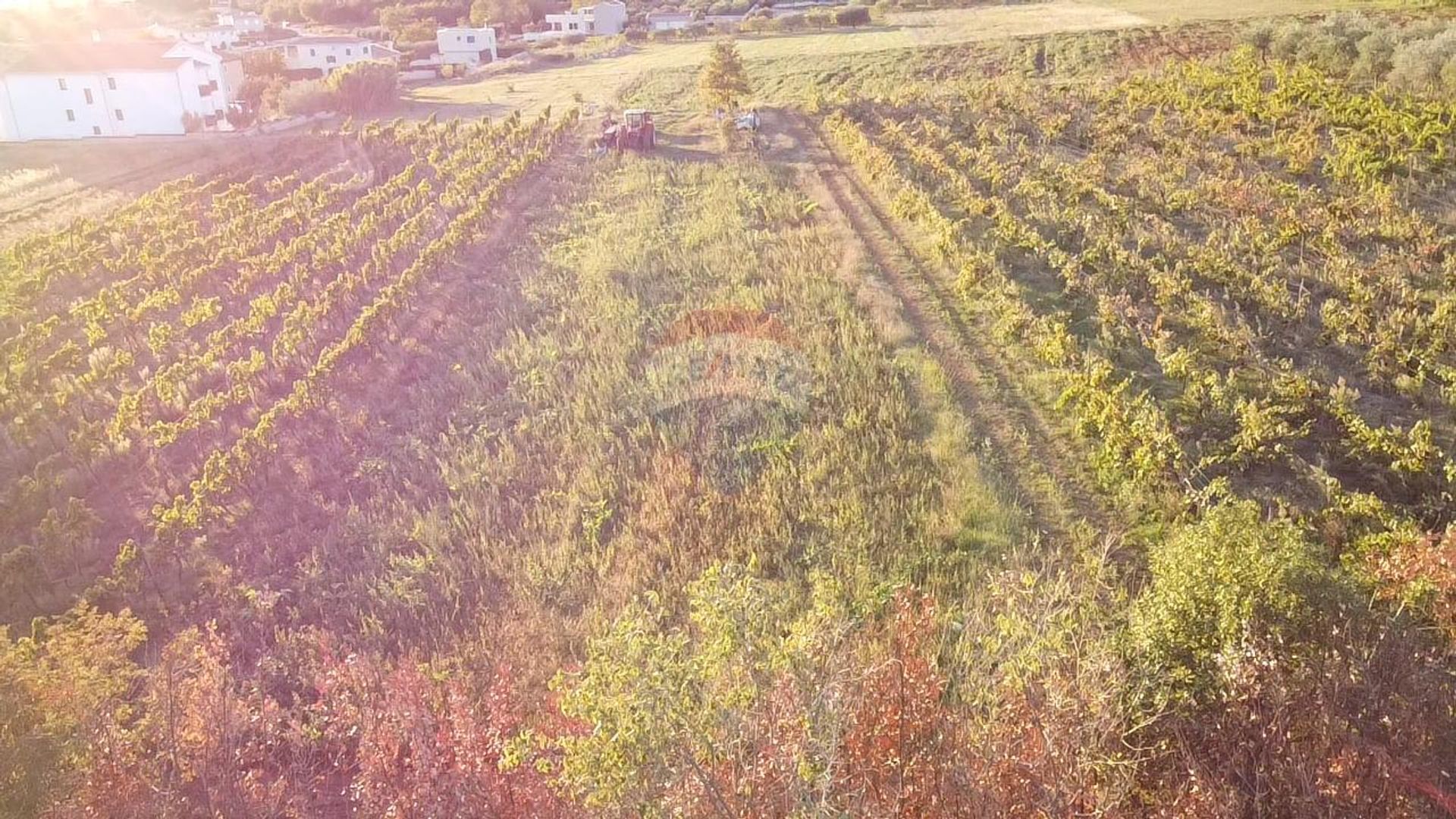 Land im Kaštelir, Istarska županija 12033354