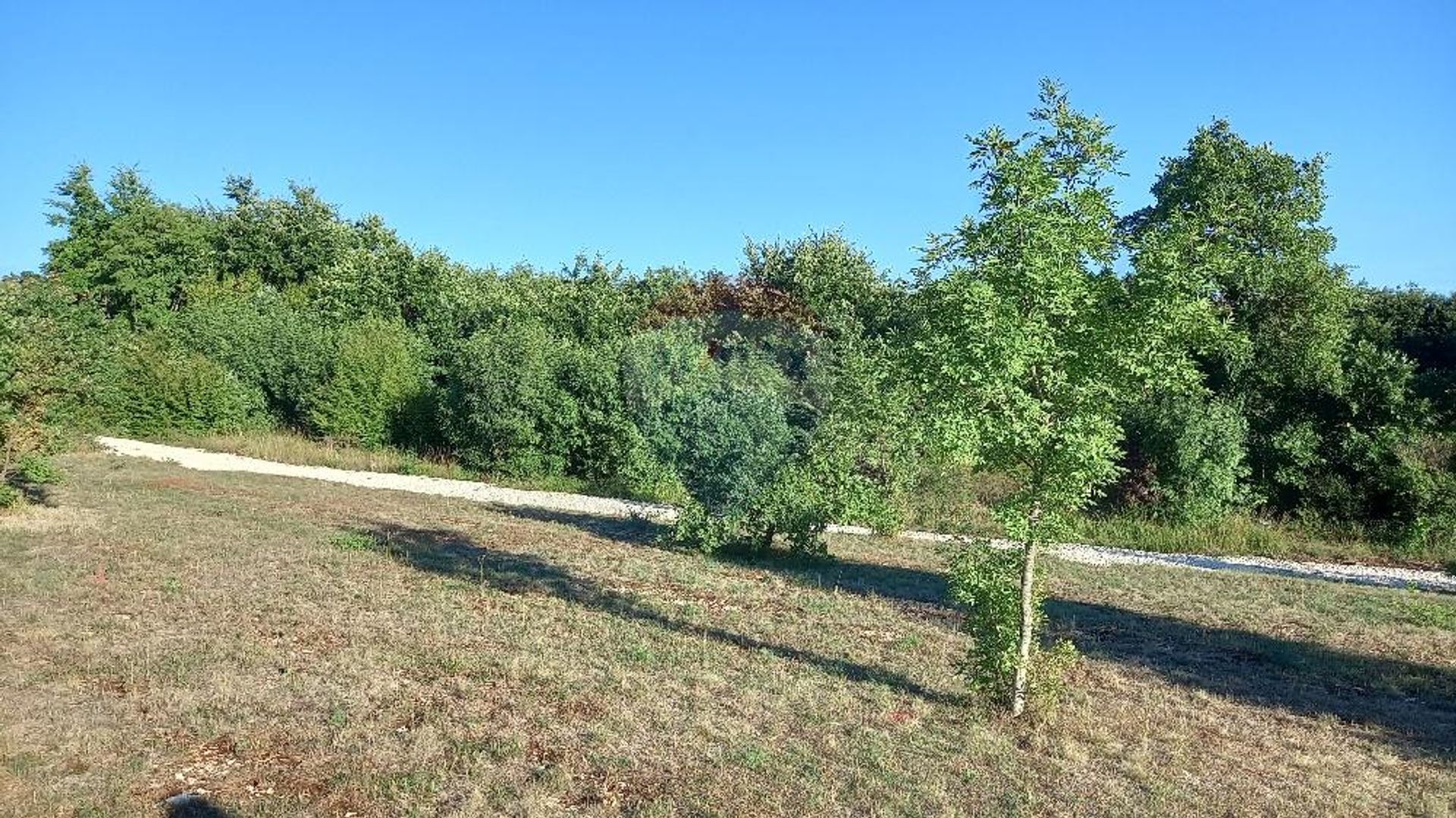 Land in Svetvincenat, Istarska Zupanija 12033440