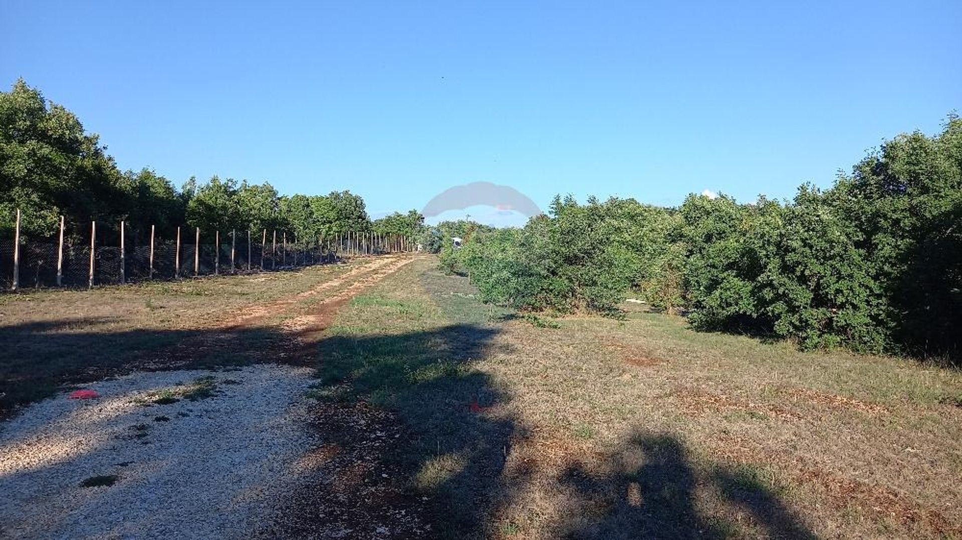 Land in Svetvincenat, Istarska Zupanija 12033440