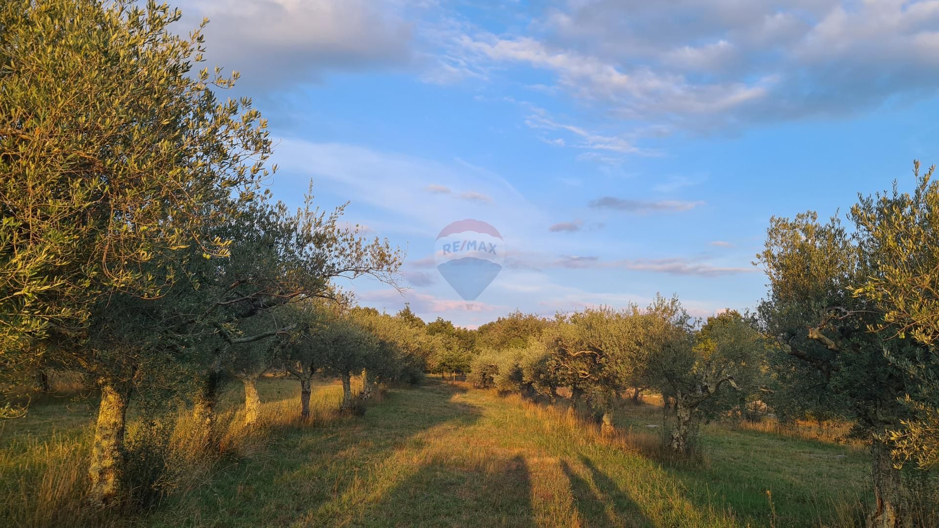 Terre dans Poreč, Istarska županija 12033468