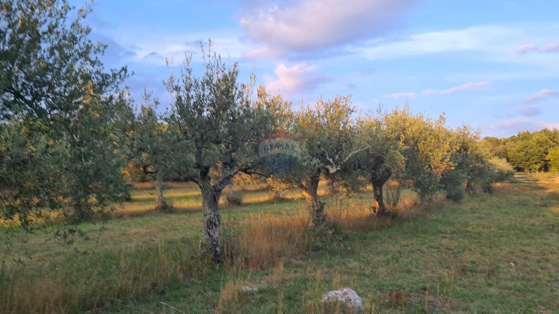 Terre dans Poreč, Istarska županija 12033468