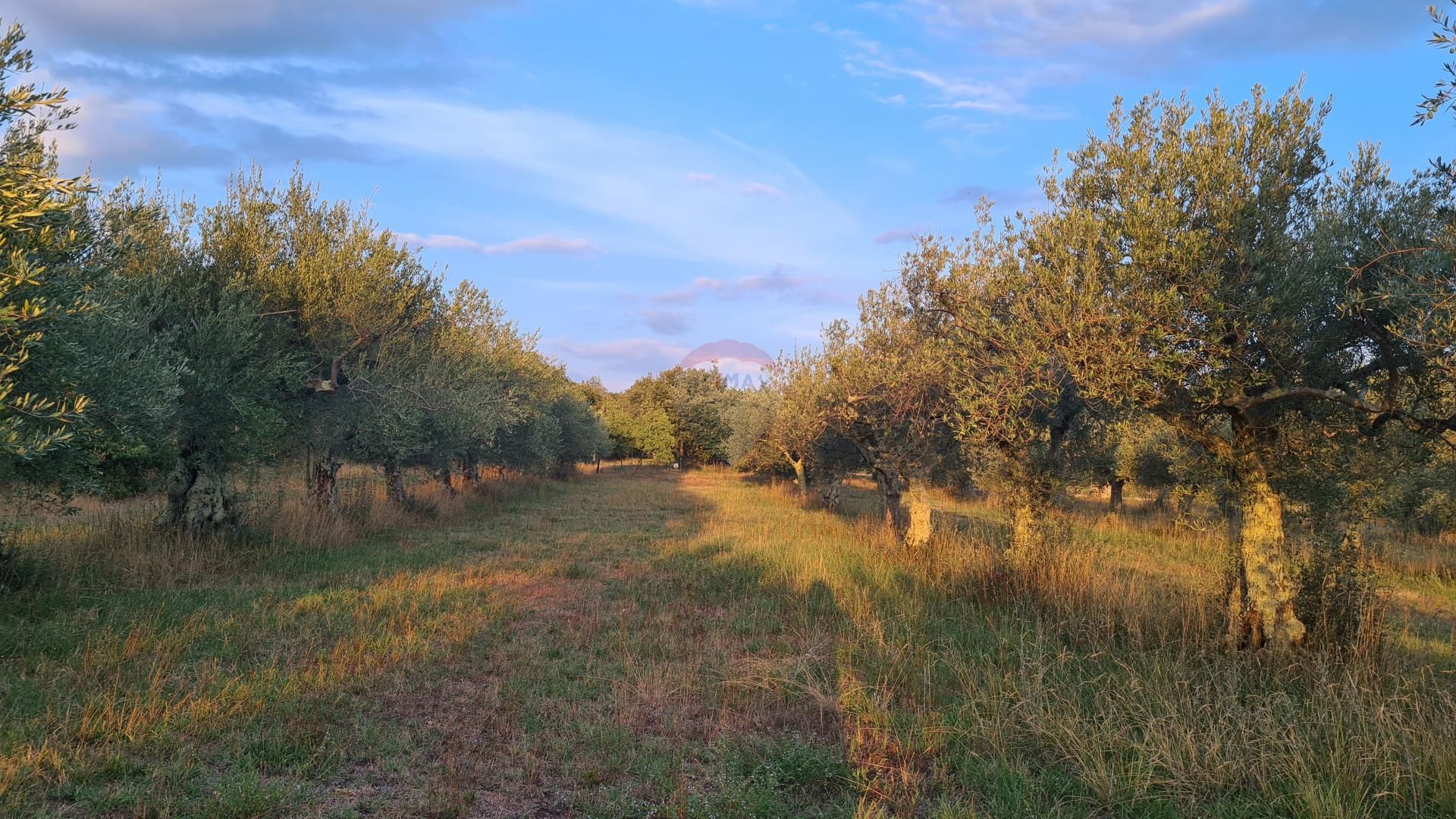 Terre dans Poreč, Istarska županija 12033468