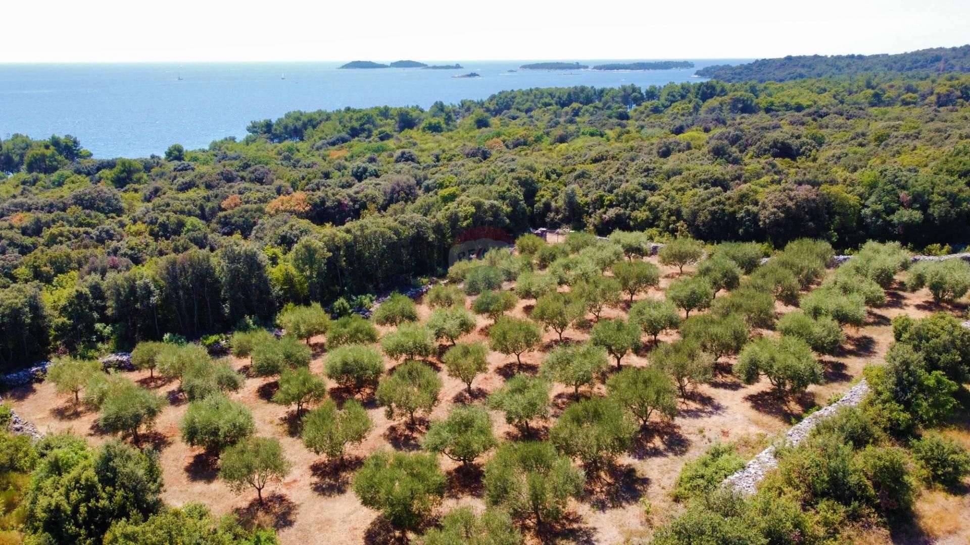 Terre dans Rovinj, Istarska Zupanija 12033603