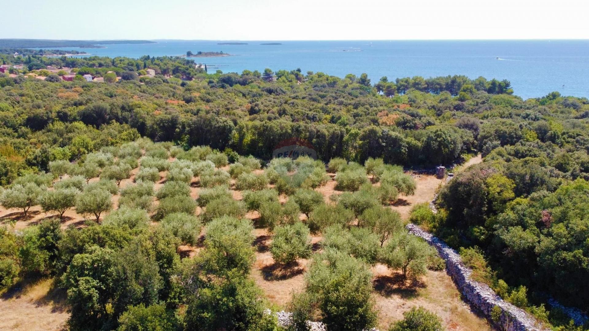 Tierra en Rovinj, Istarska Županija 12033603