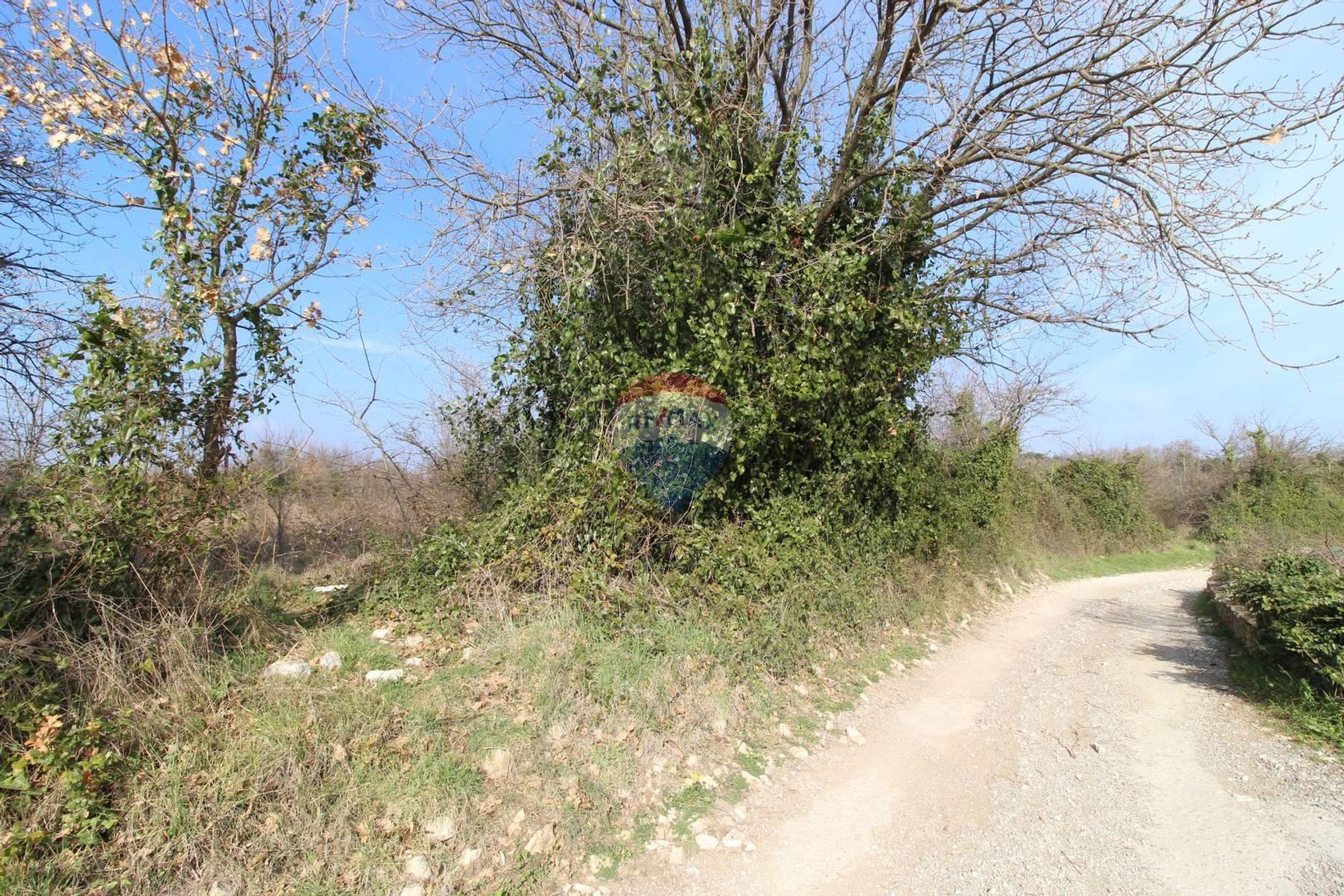 Land in Liznjan, Istarska Zupanija 12033638