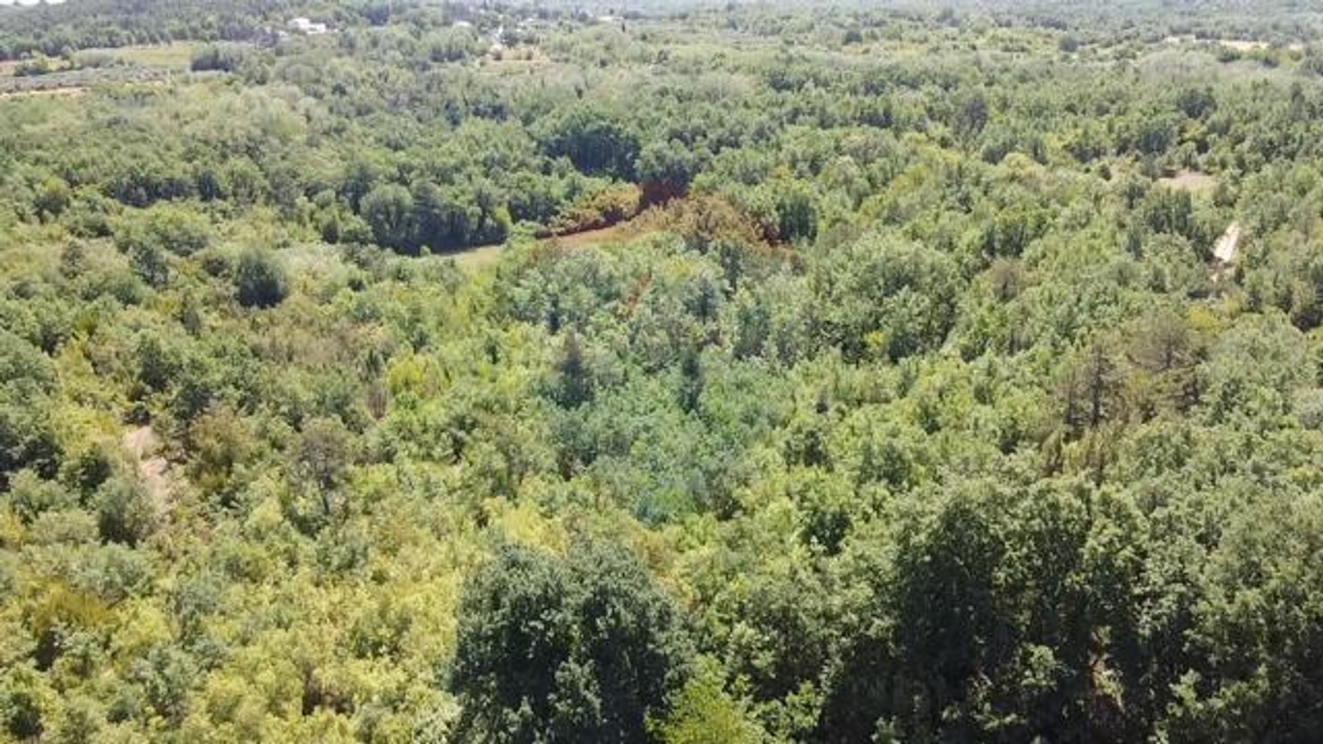 Tierra en Sveti Lovrec Pazenaticki, Istarska Županija 12033645