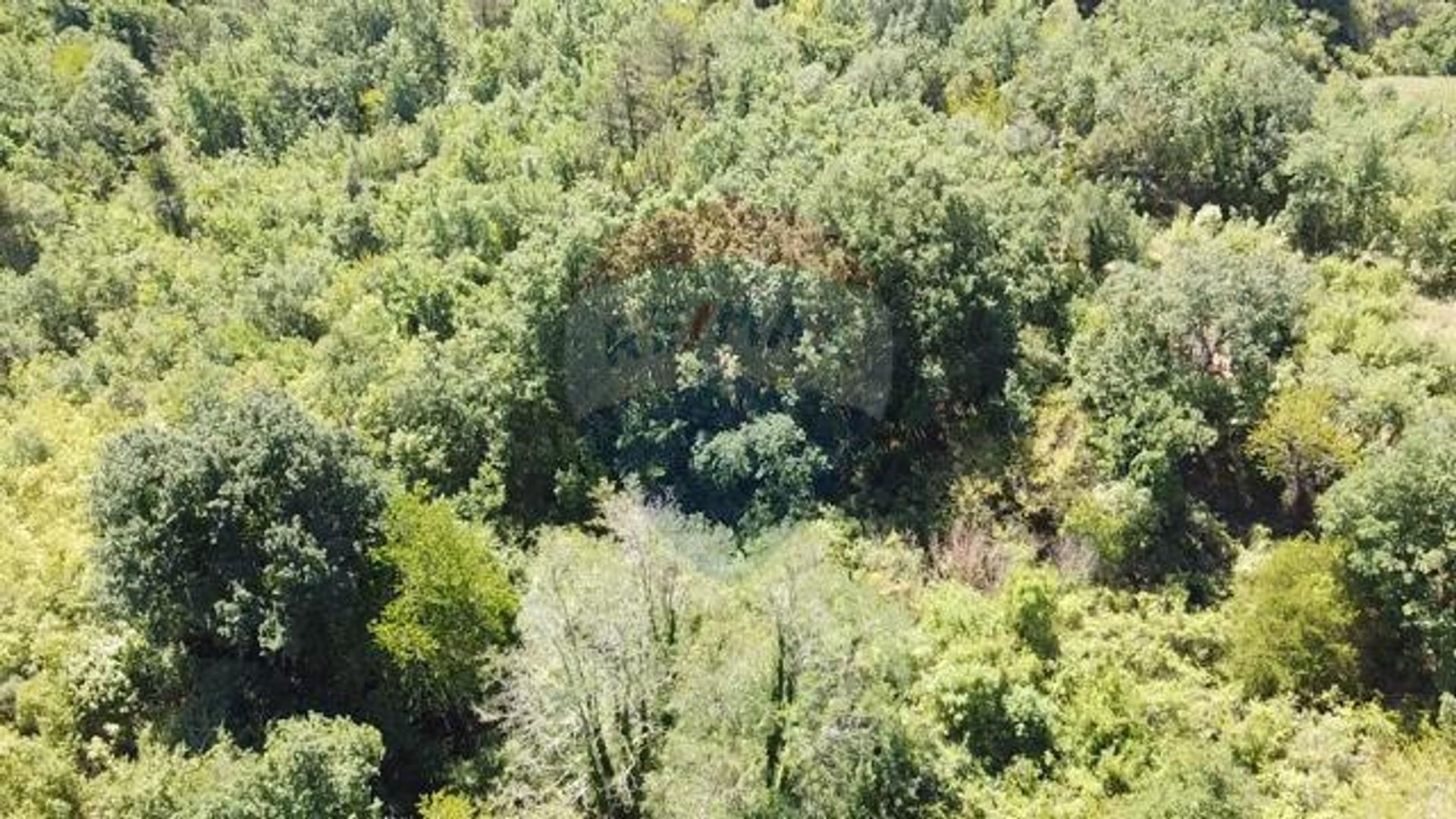 Tierra en Sveti Lovrec Pazenaticki, Istarska Županija 12033645