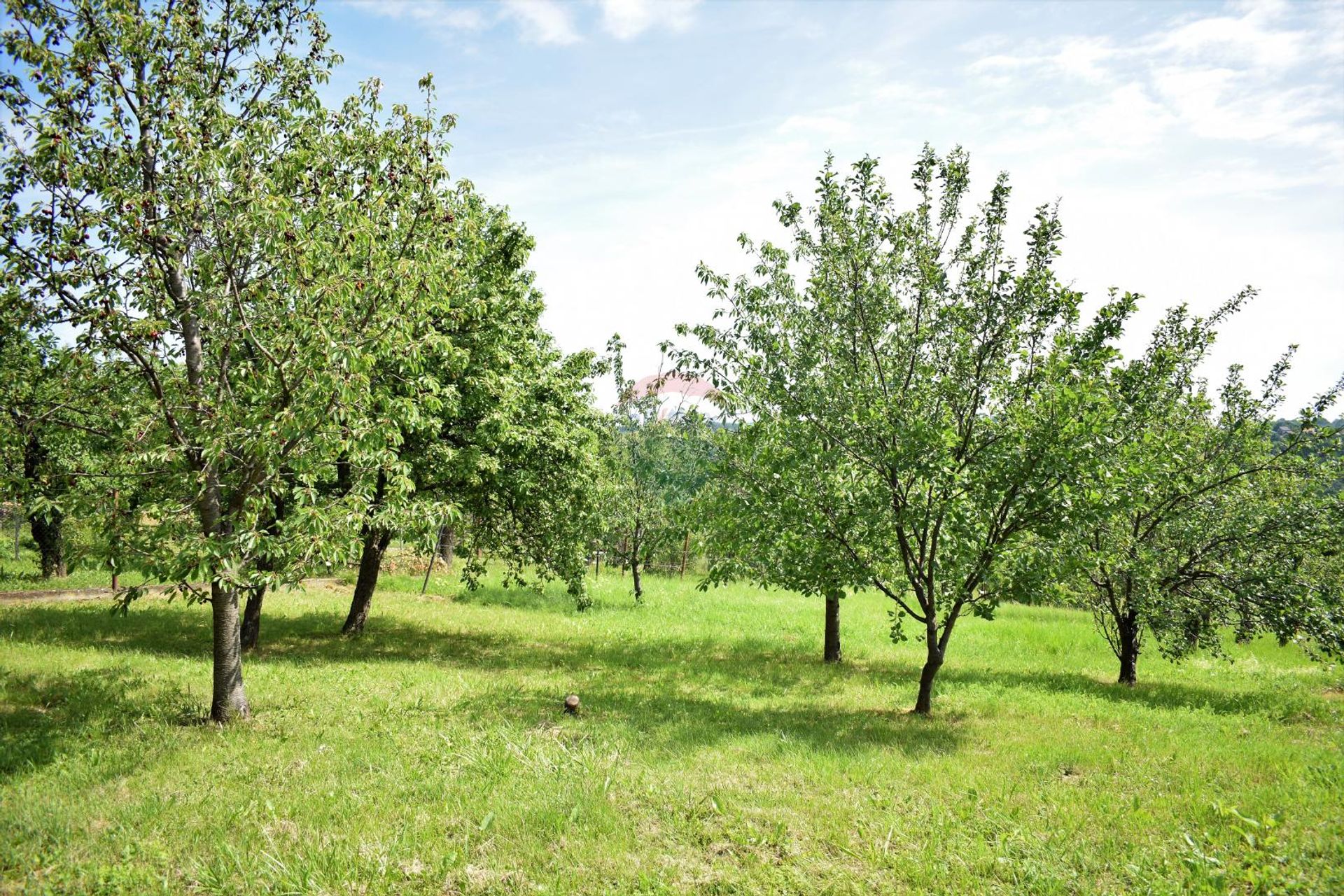 Land im Granesina, Zagreb, Grad 12033751