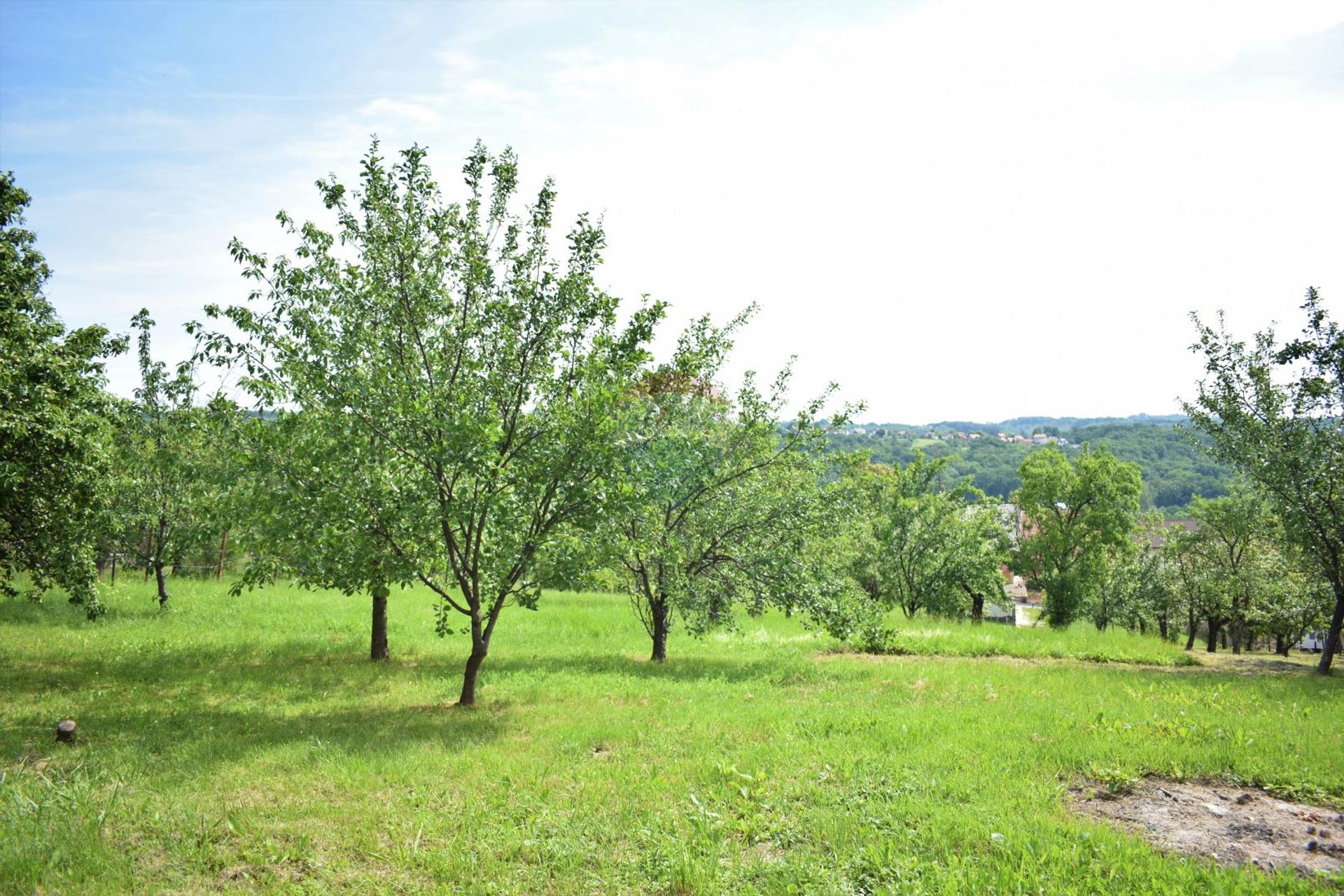 Land im Granesina, Zagreb, Grad 12033751