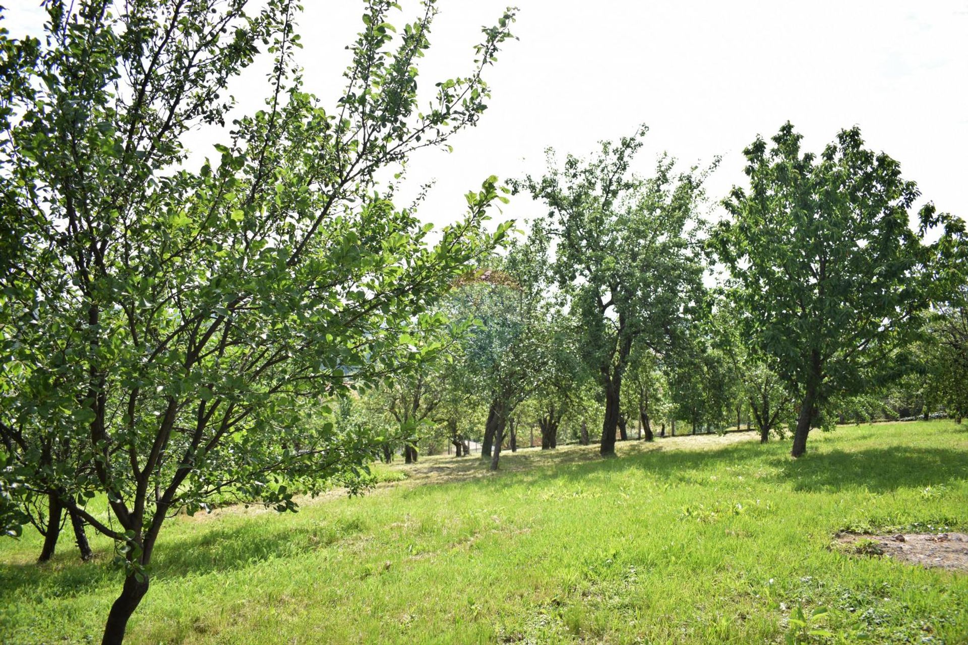 Γη σε Γρανεσίνα, Ζάγκρεμπ, Γκράντ 12033751