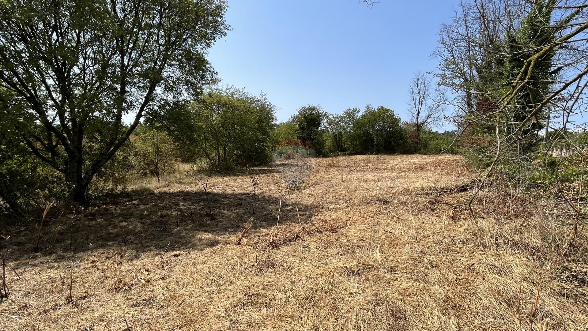 Land in Visnjan, Istarska Zupanija 12033762