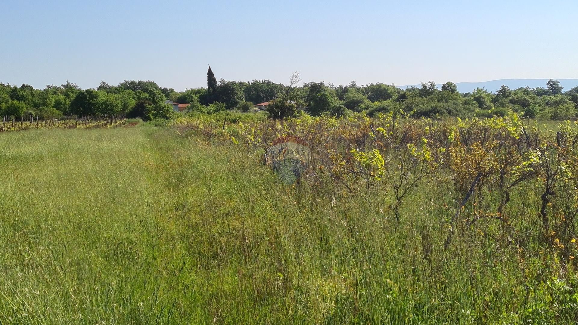 Terre dans Marčana, Istarska županija 12033825