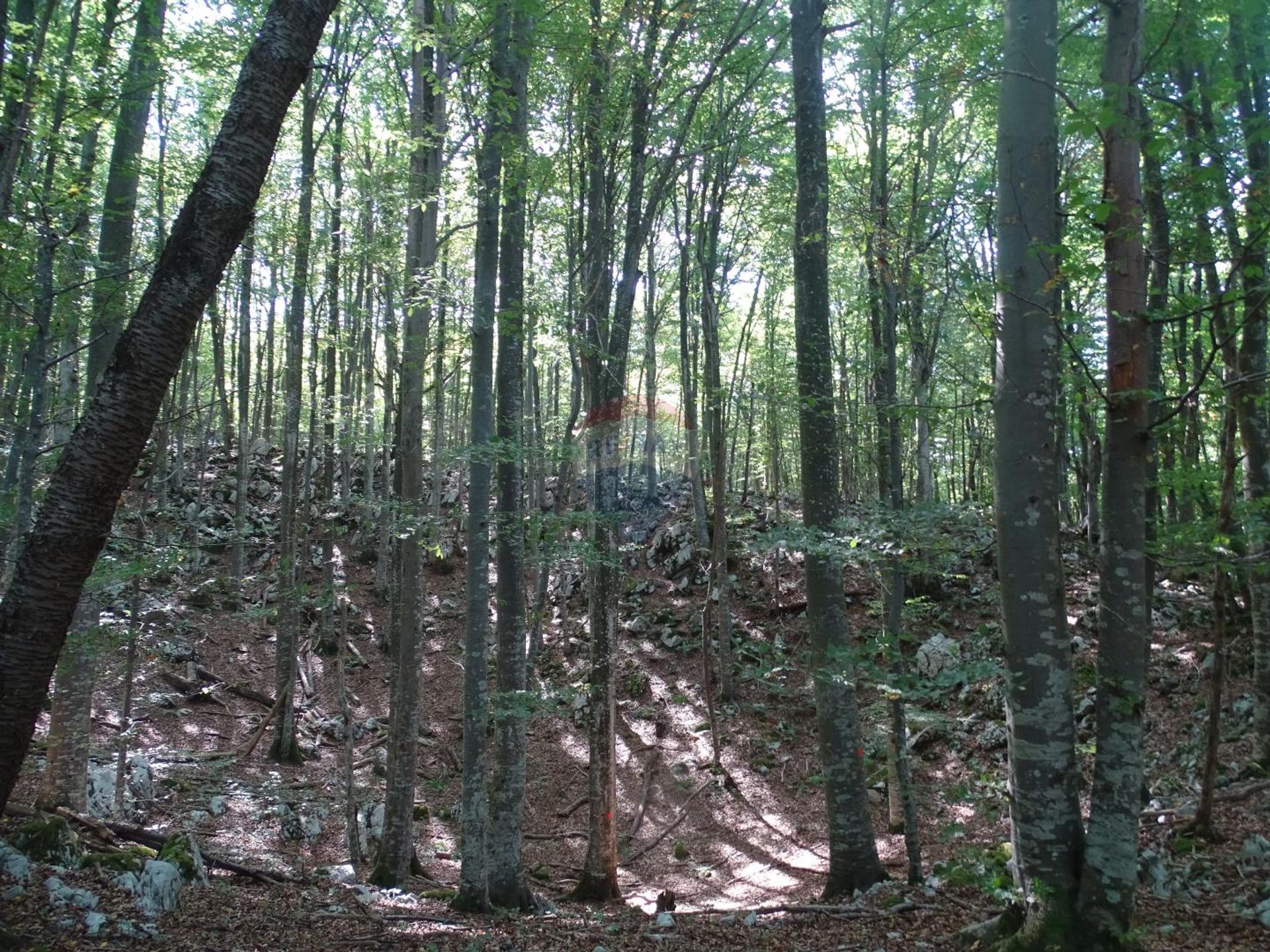 Tierra en Brod Moravice, Primorsko-Goranska Županija 12033890