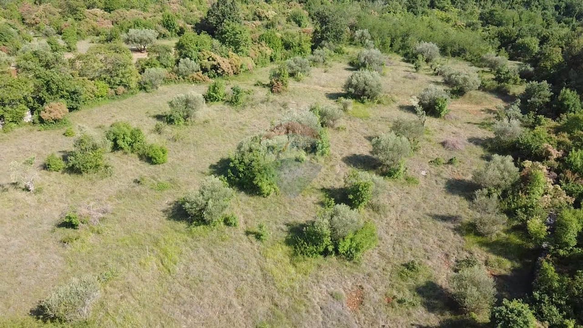 Land in Buje, Istarska županija 12033921